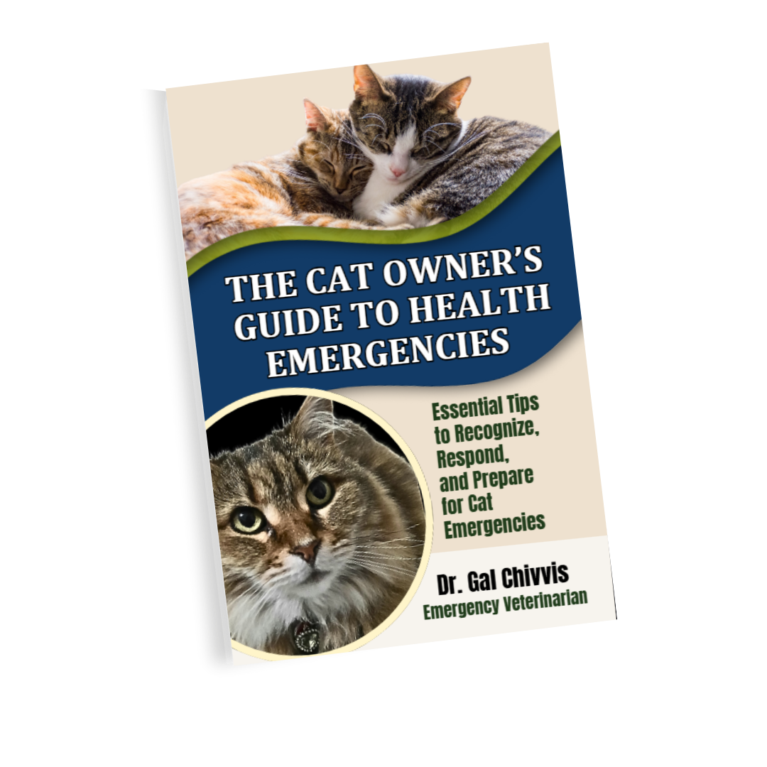 The Cat Owner's Guide to Health Emergencies
