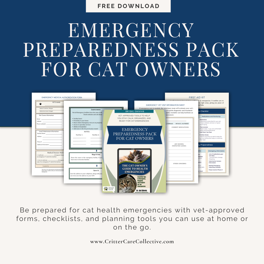 Lead magnet, Cat owner emergency prepardness (2).png