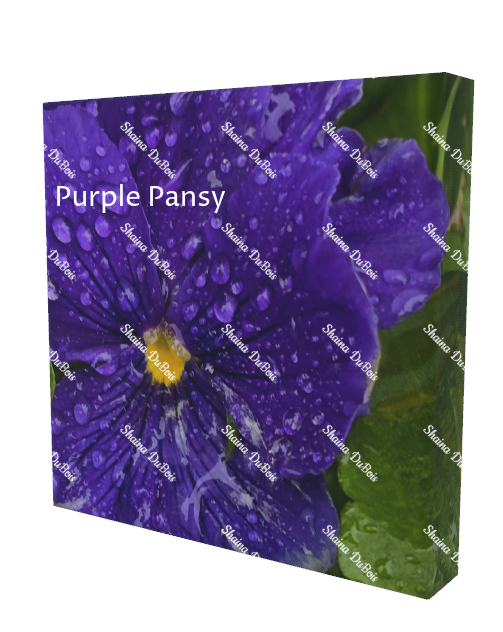 purple Pansy side 2.png