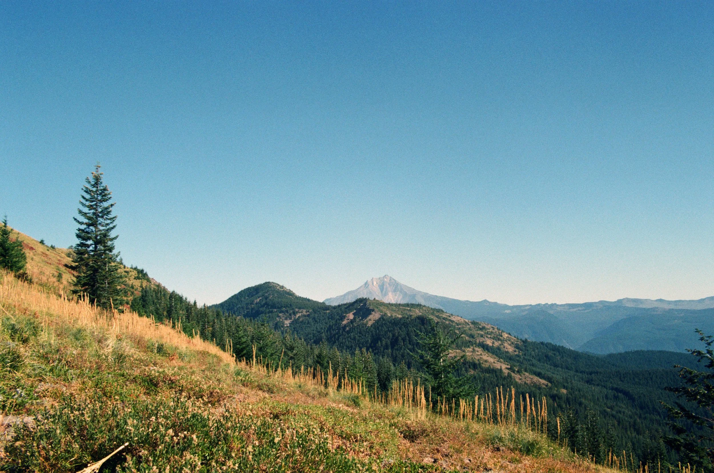 19a.jpg