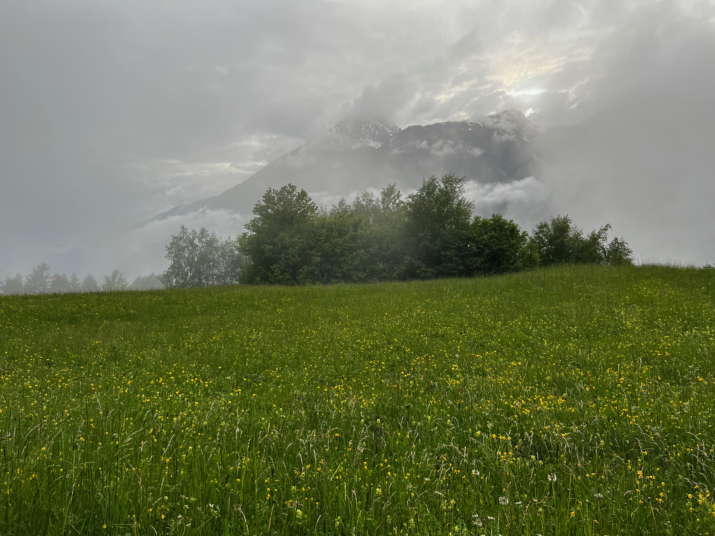 IMG_0206.png