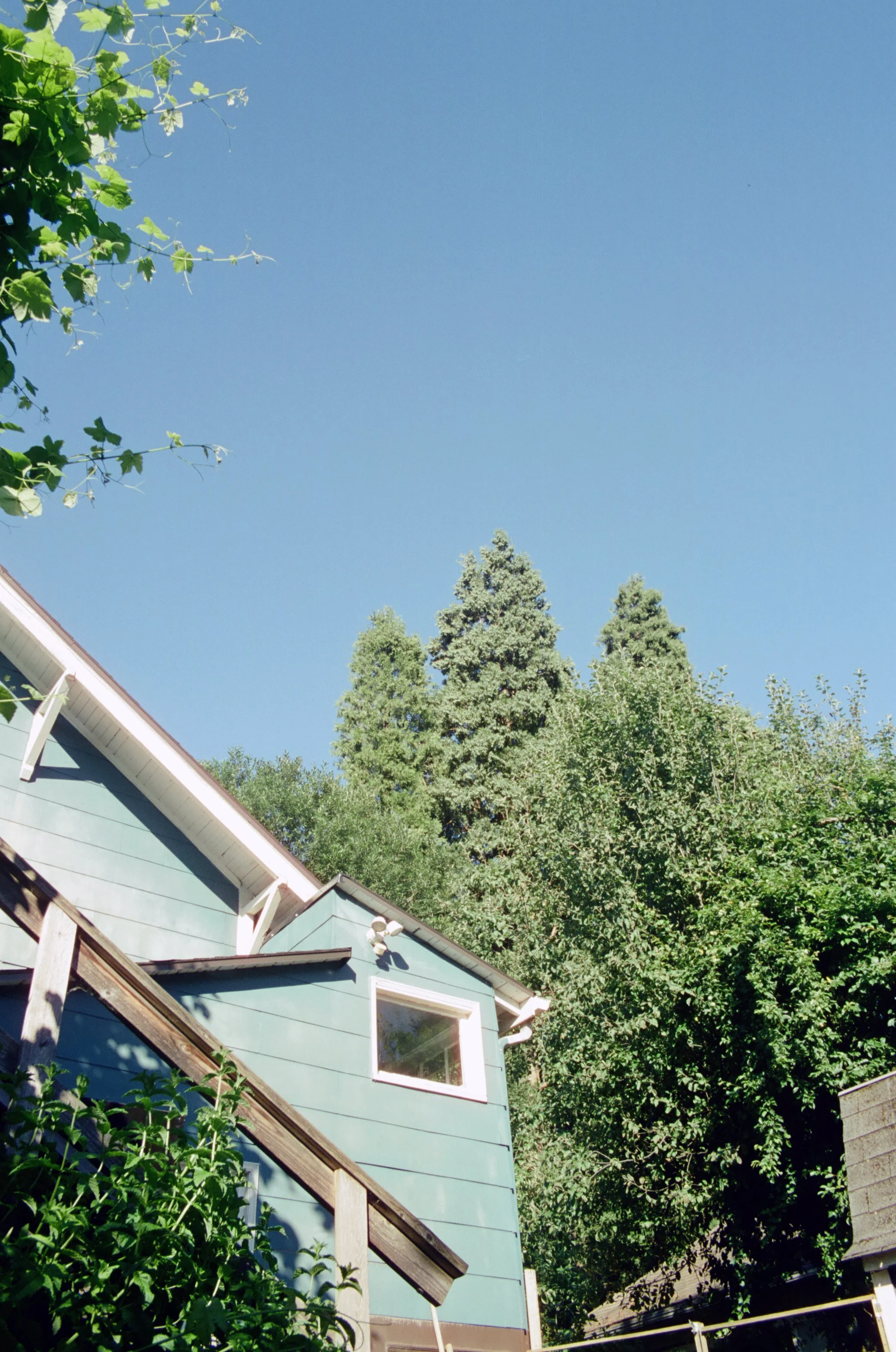 04.jpg