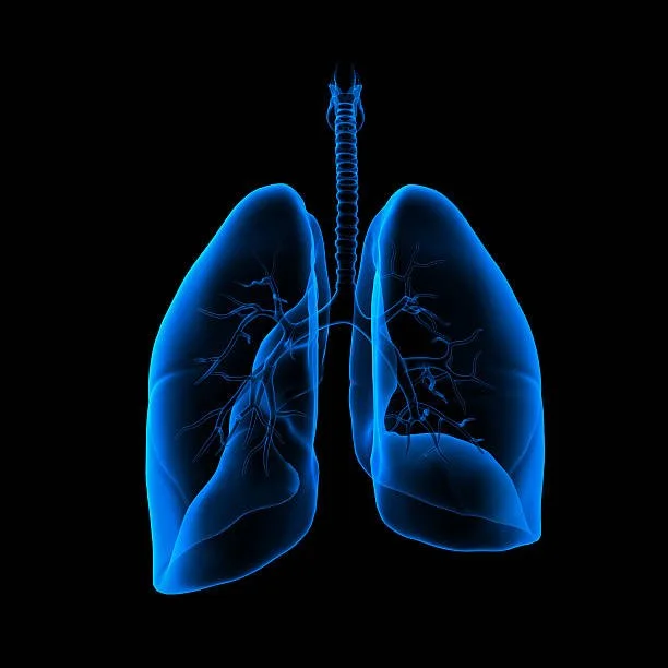 Breathe Through the Season: Halotherapy for Coughs, Colds & Flu