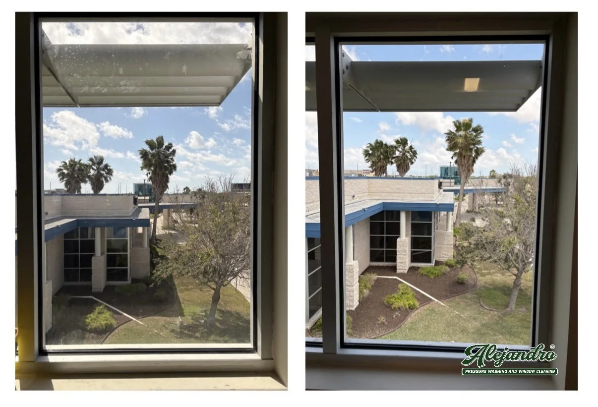 View through a window showing a building with palm trees and a partly cloudy sky, with a before-and-after comparison of window cleaning. The right side features a cleaner and brighter window. There is a logo 'Alejandro Pressure Washing and Window Cle