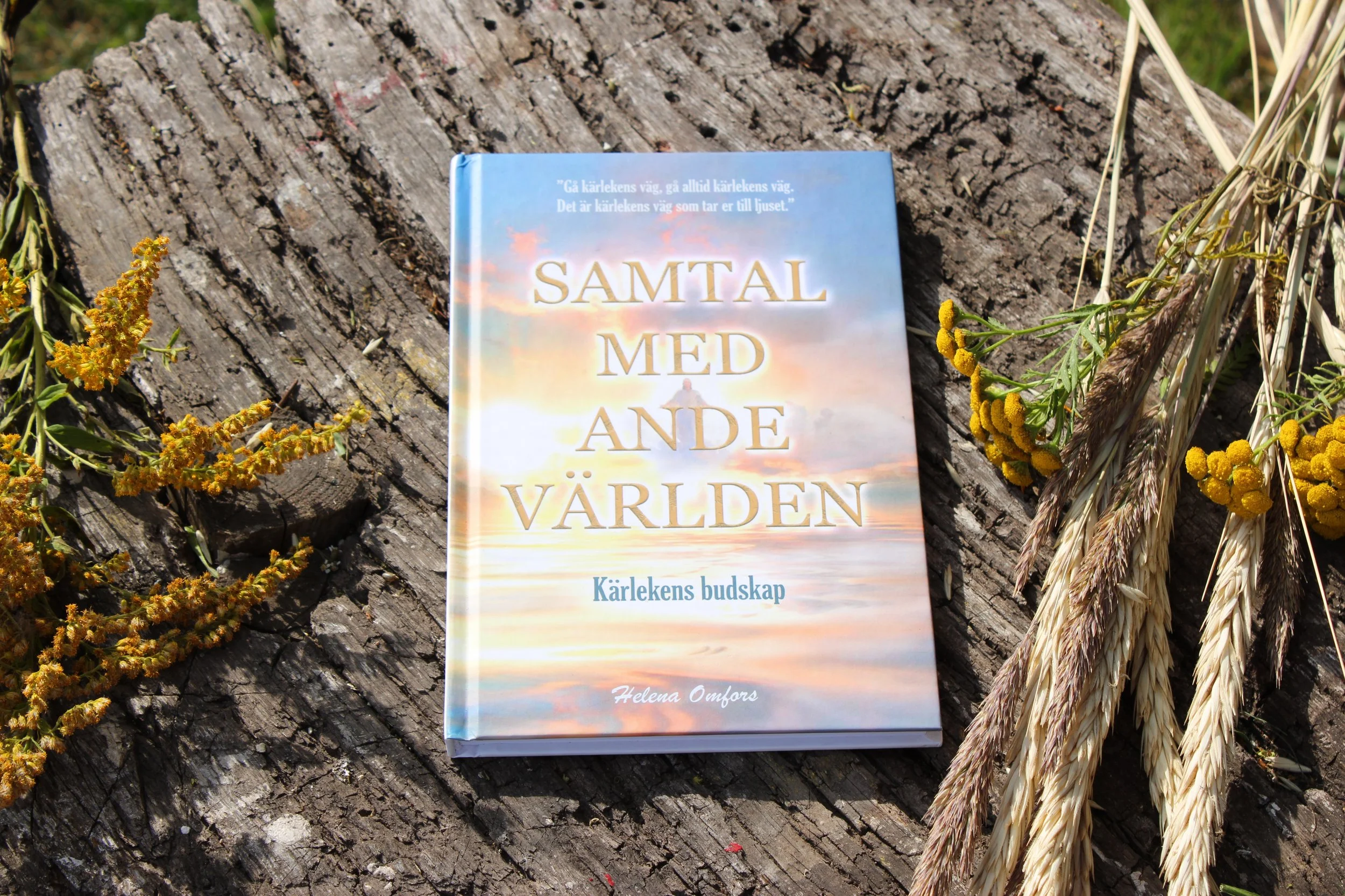 Samtal med andevärlden.JPG