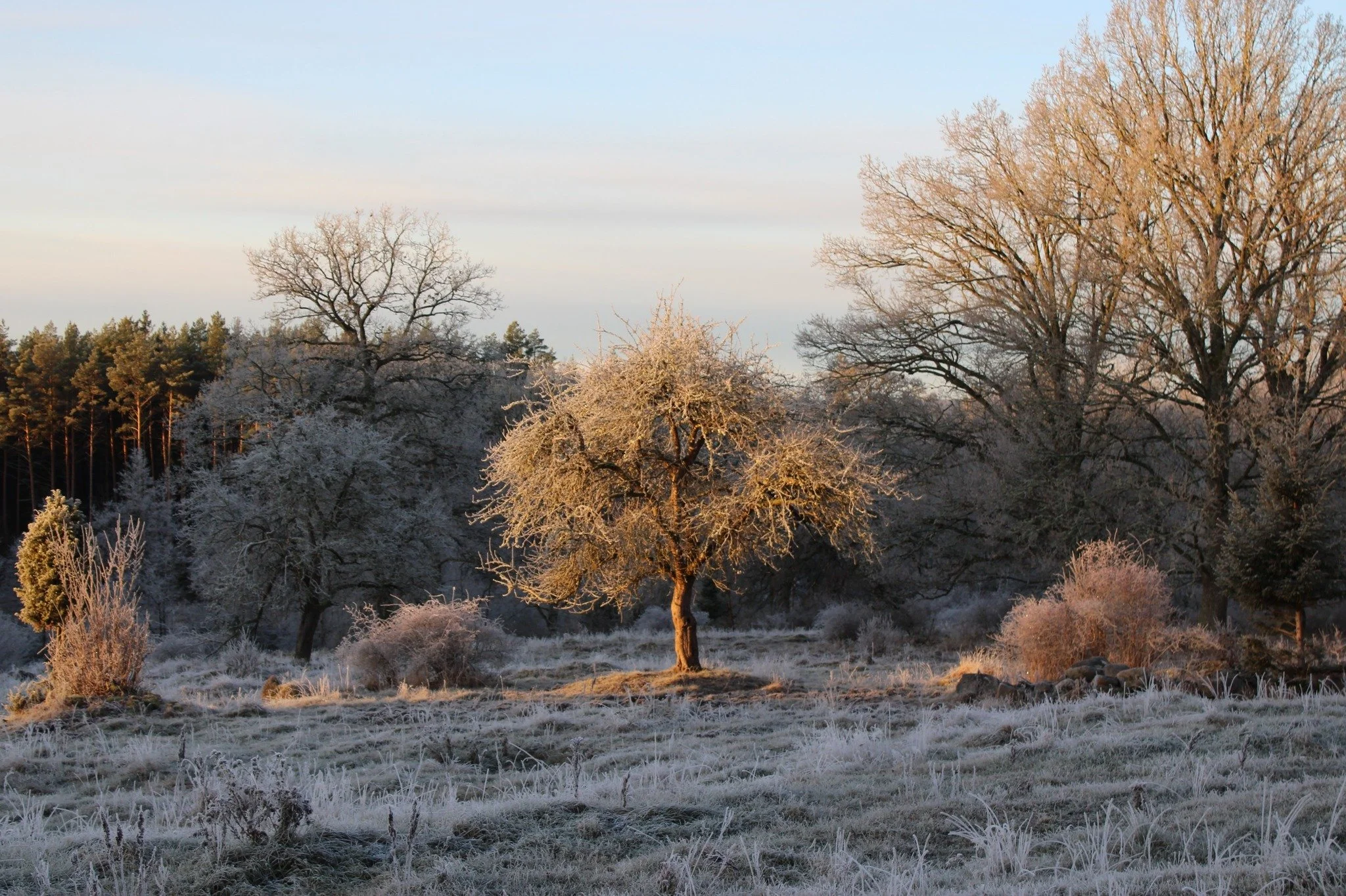Budskap från den store anden