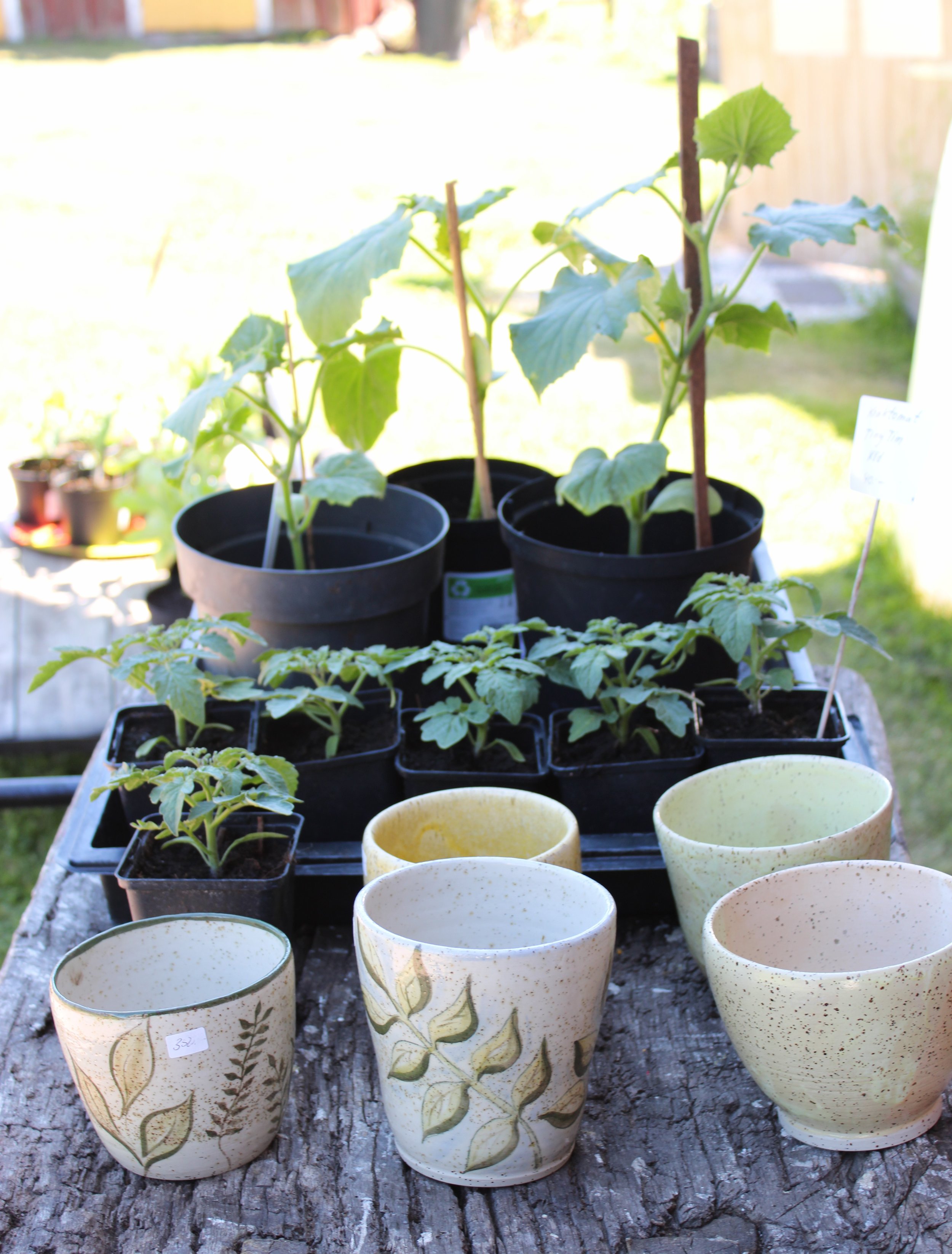 Plantor & keramik