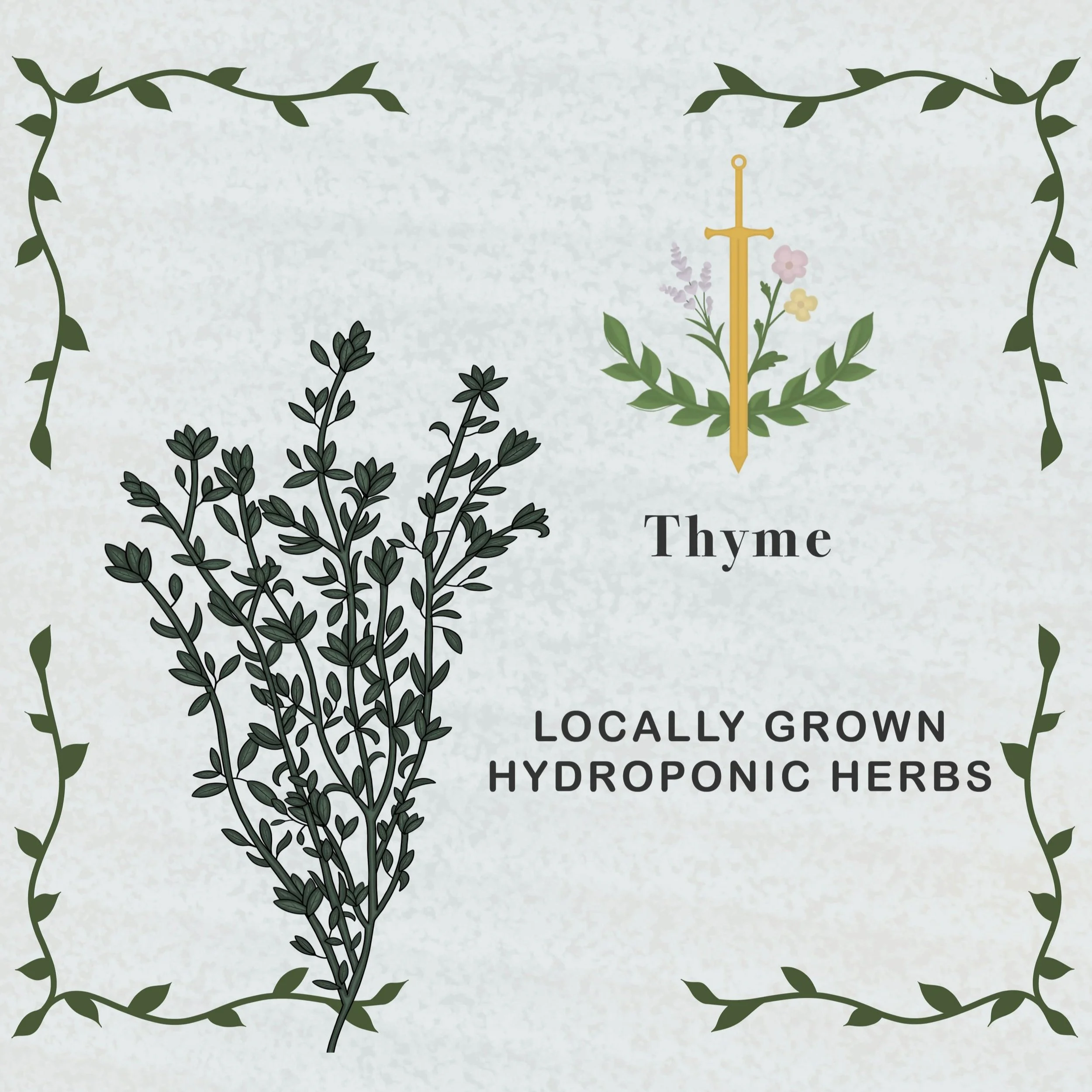 Thyme