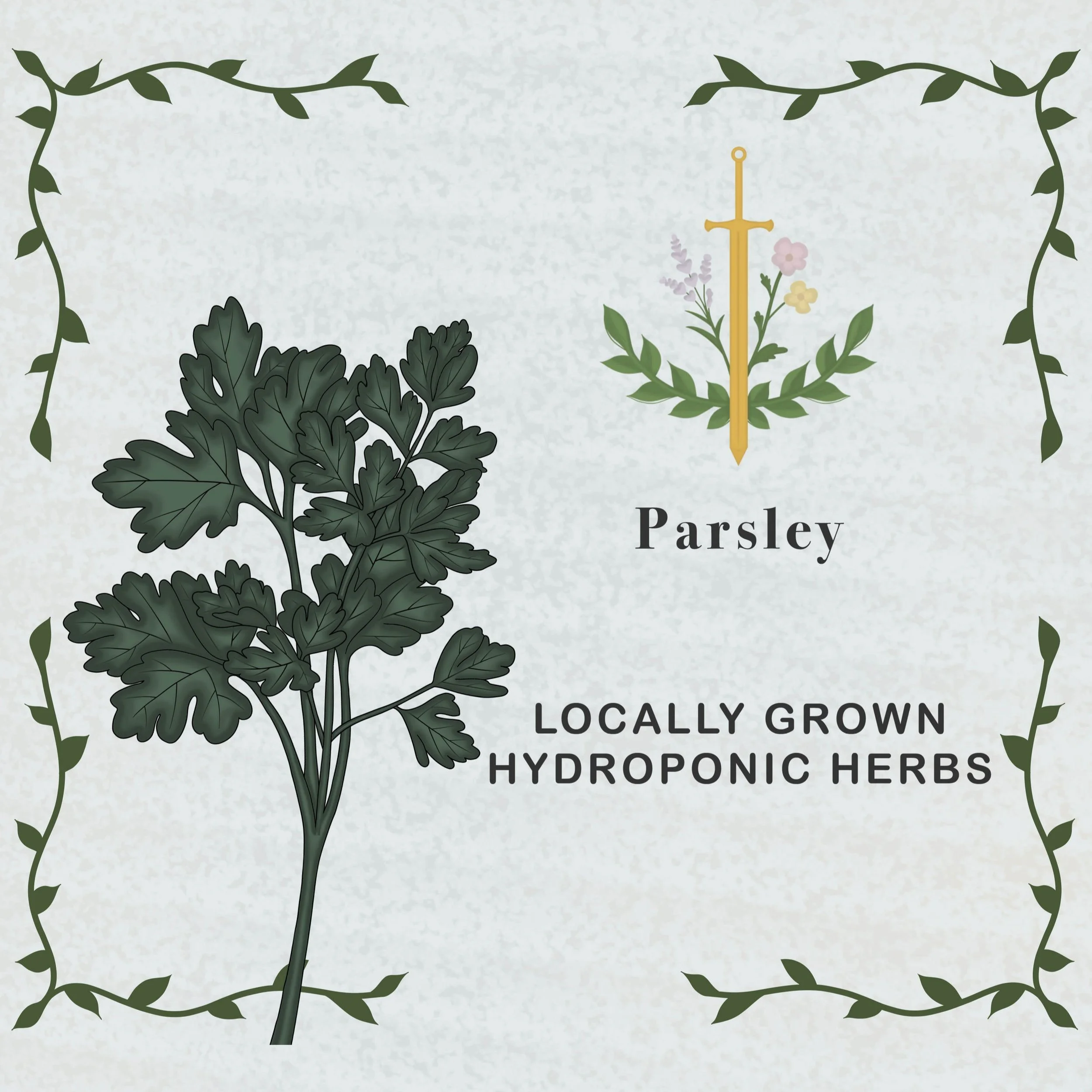 Parsley