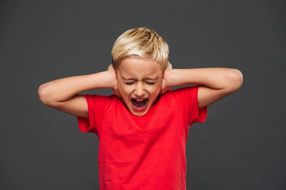 Tantrum vs. Meltdown: A Parent’s Quick Survival Guide