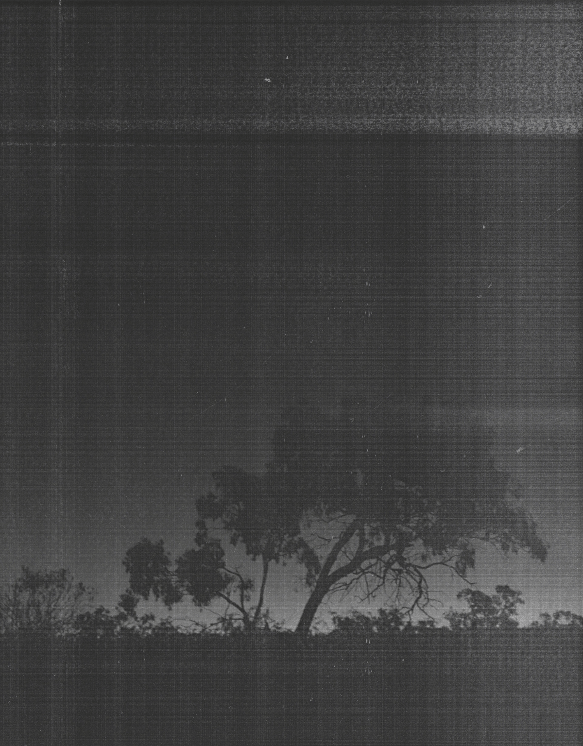 Lying through your nose