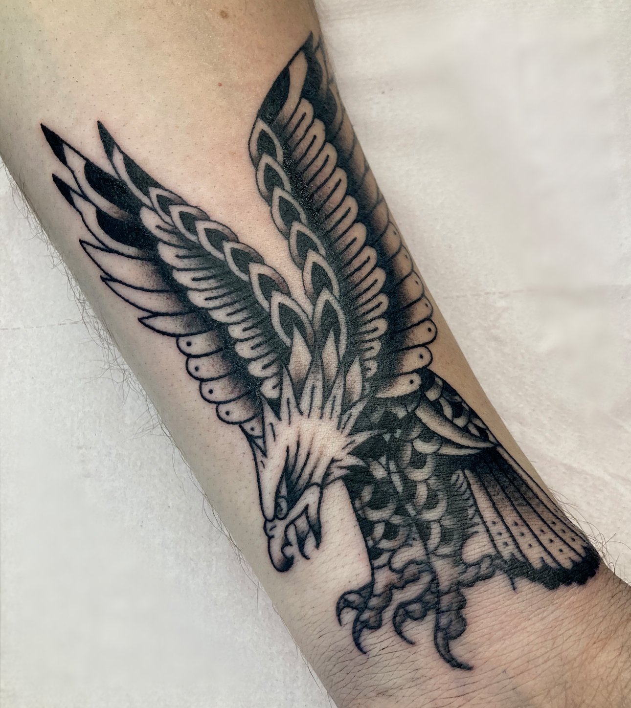eagle1.jpg