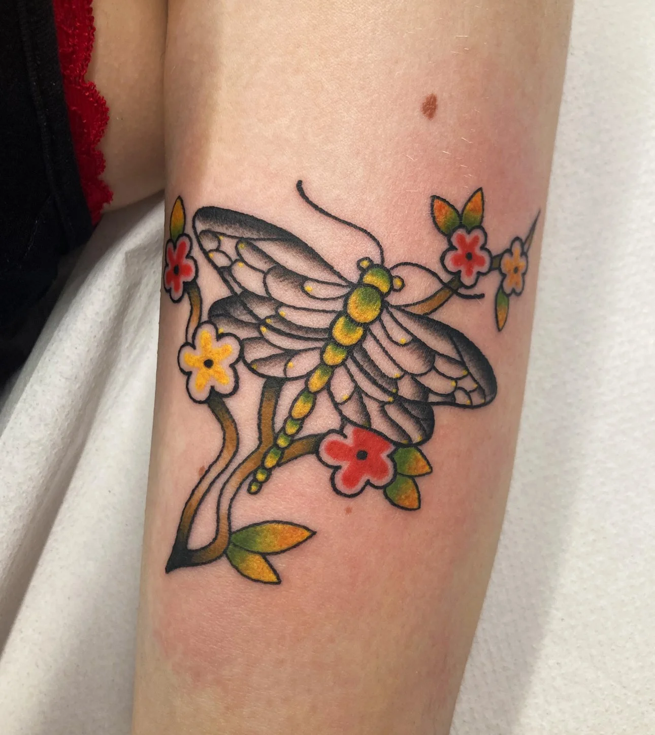 dragonfly3.jpg