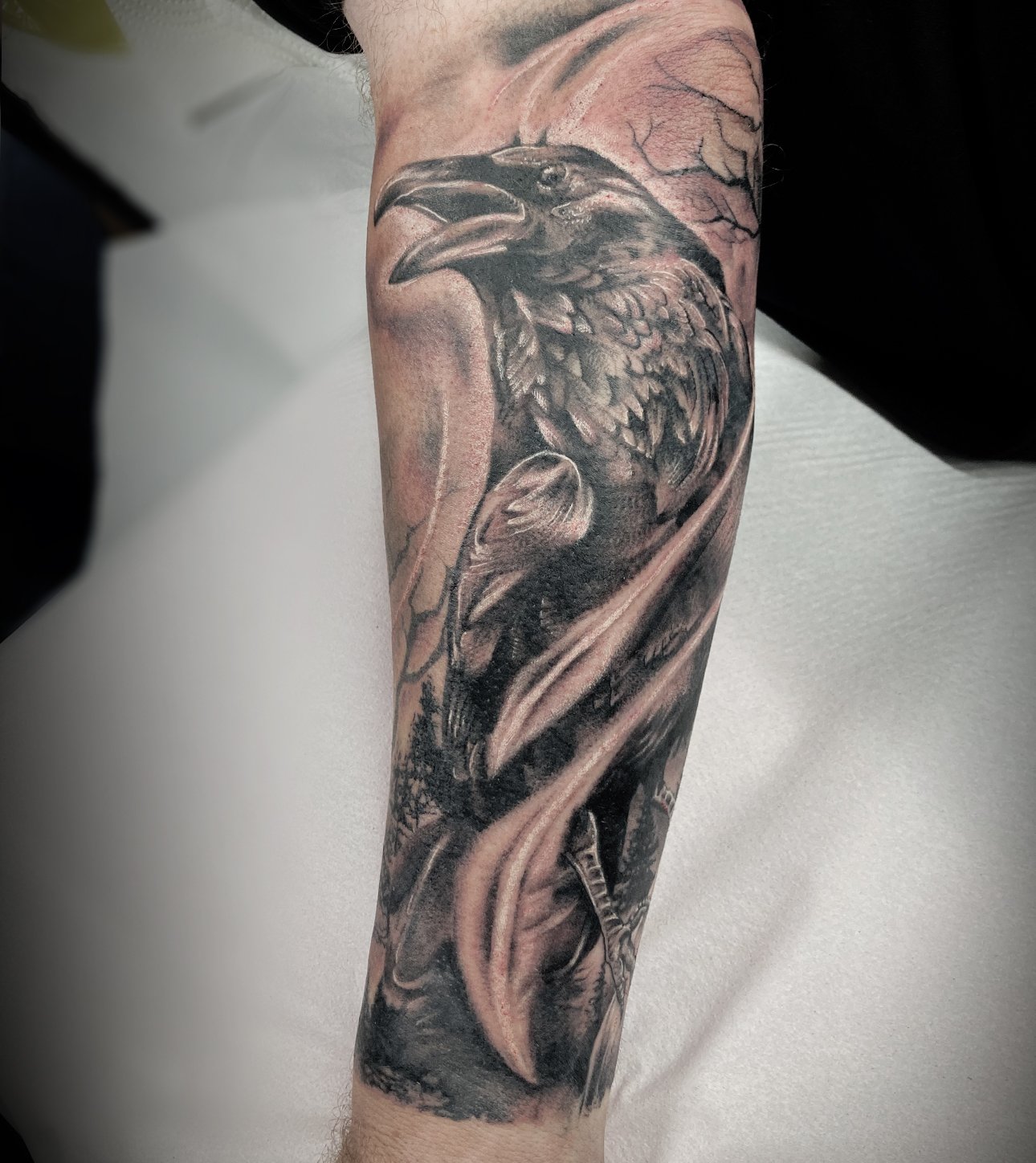 crow6.jpg