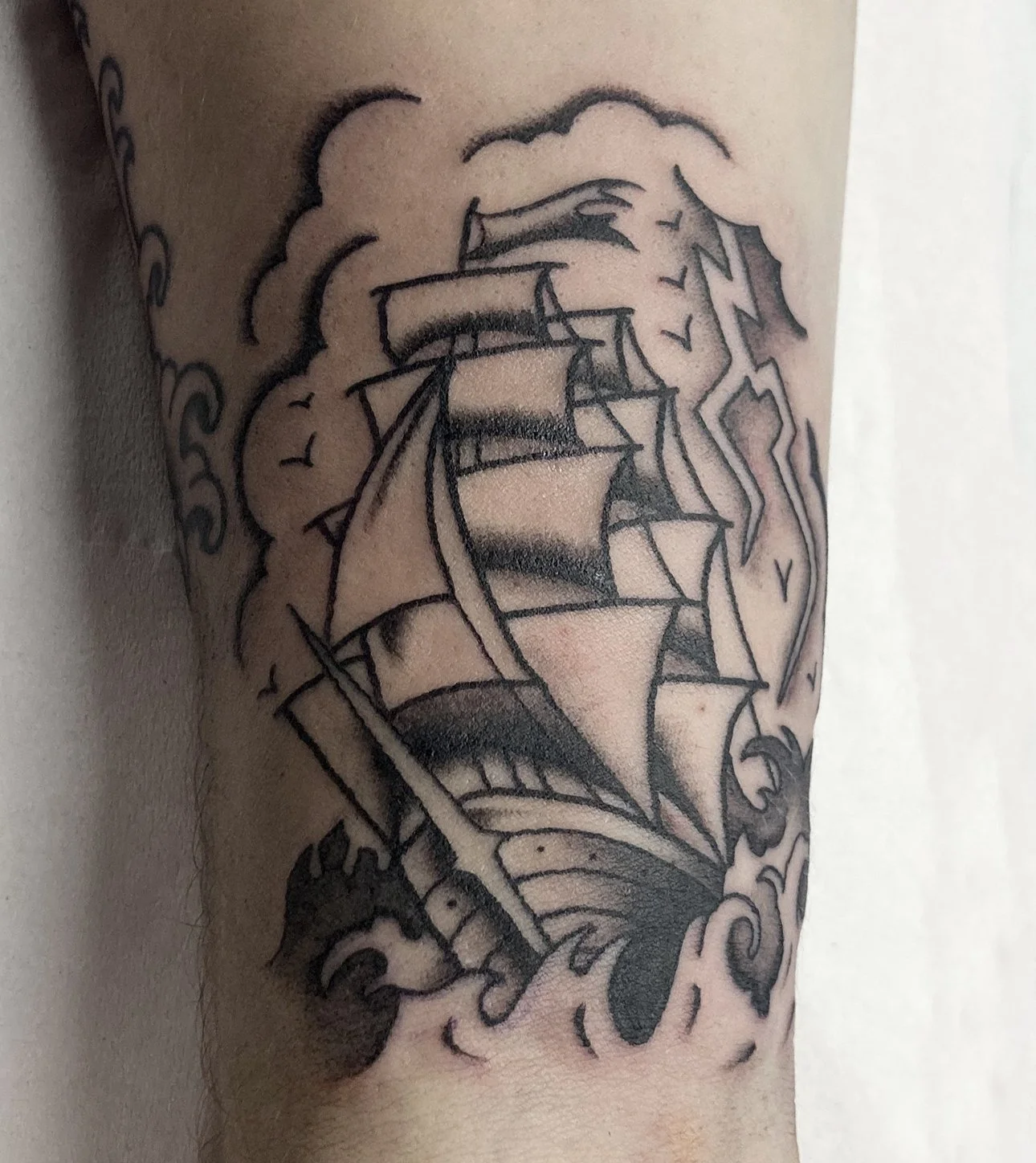clipper1.jpg