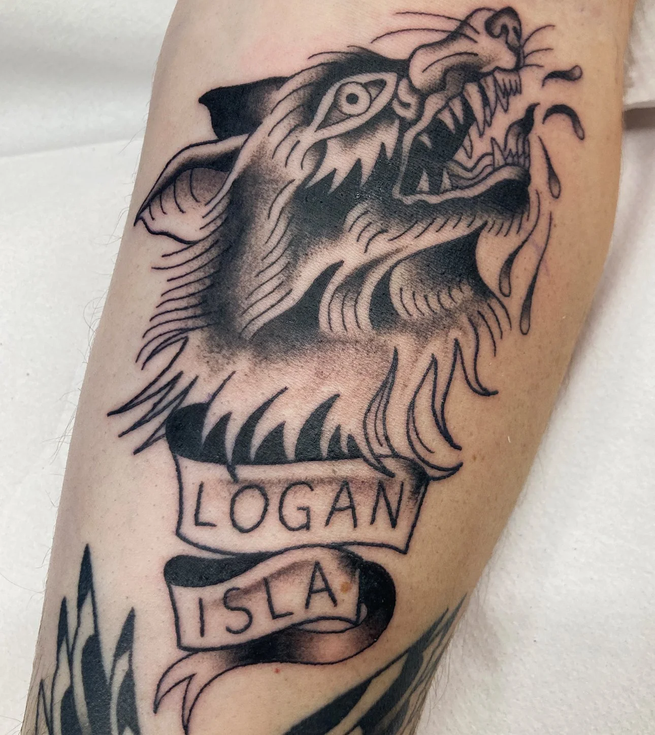 wolf1.jpg