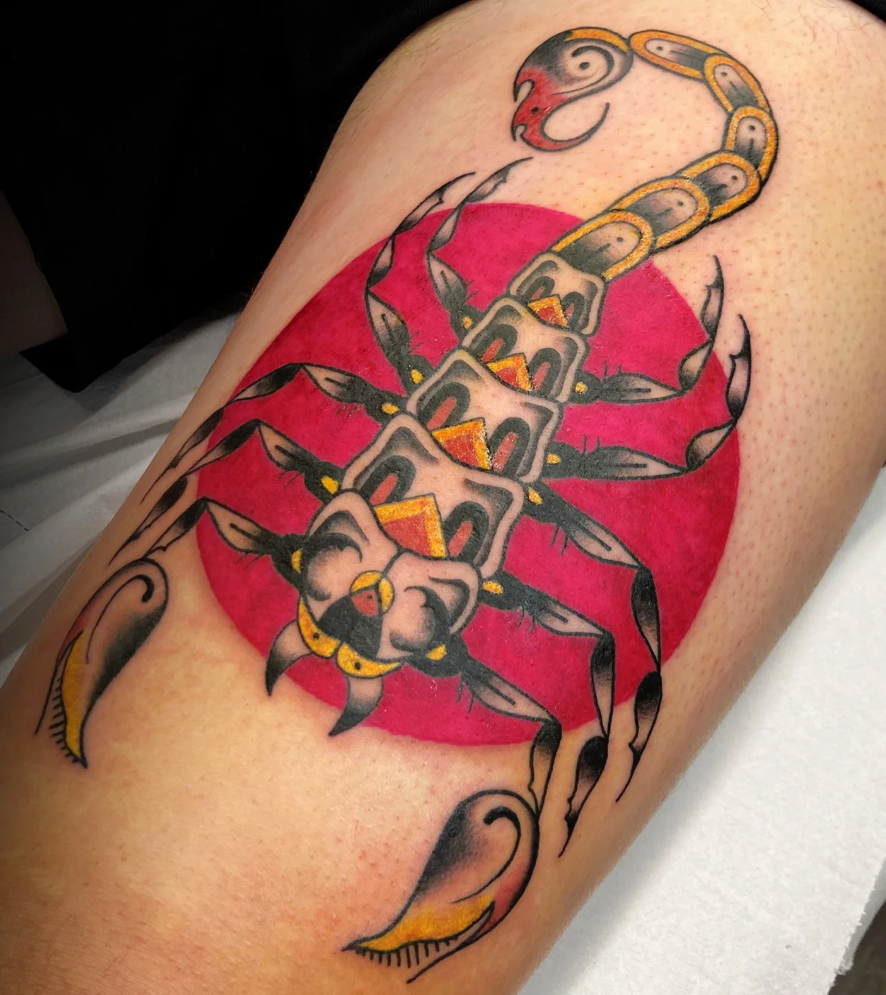 scorpion2.jpg