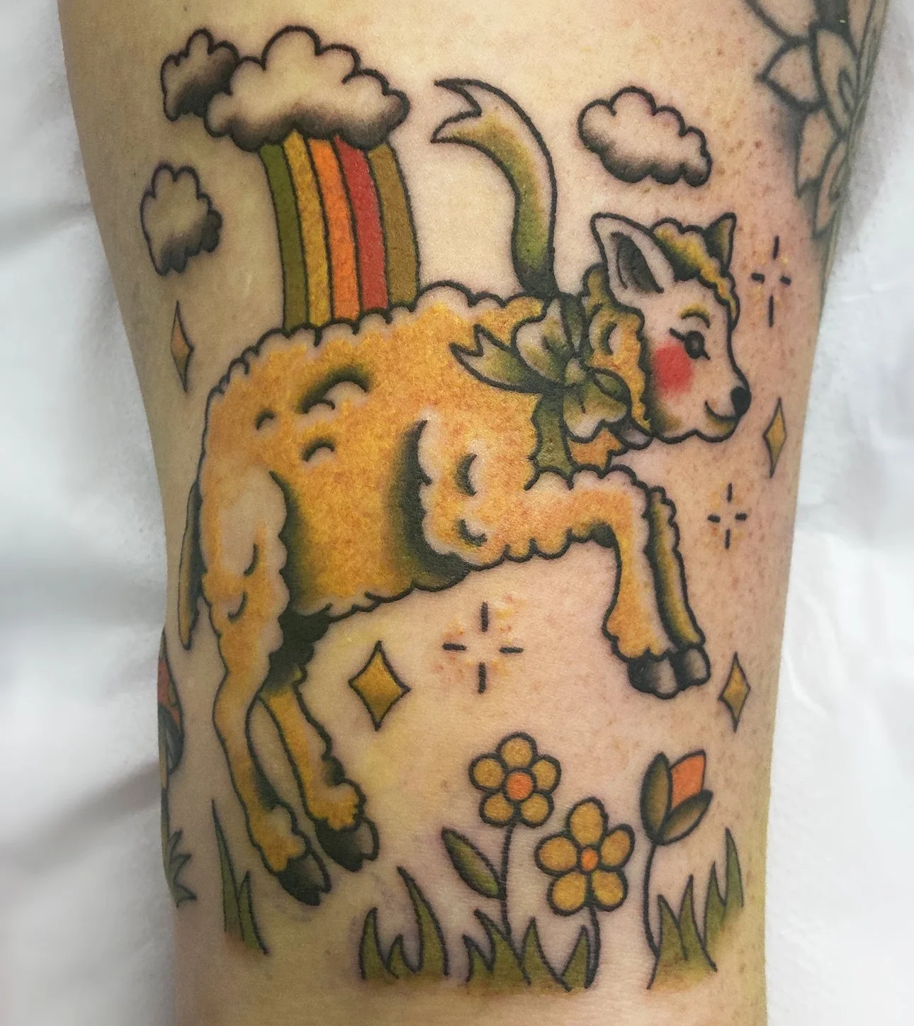 lamb1.jpg