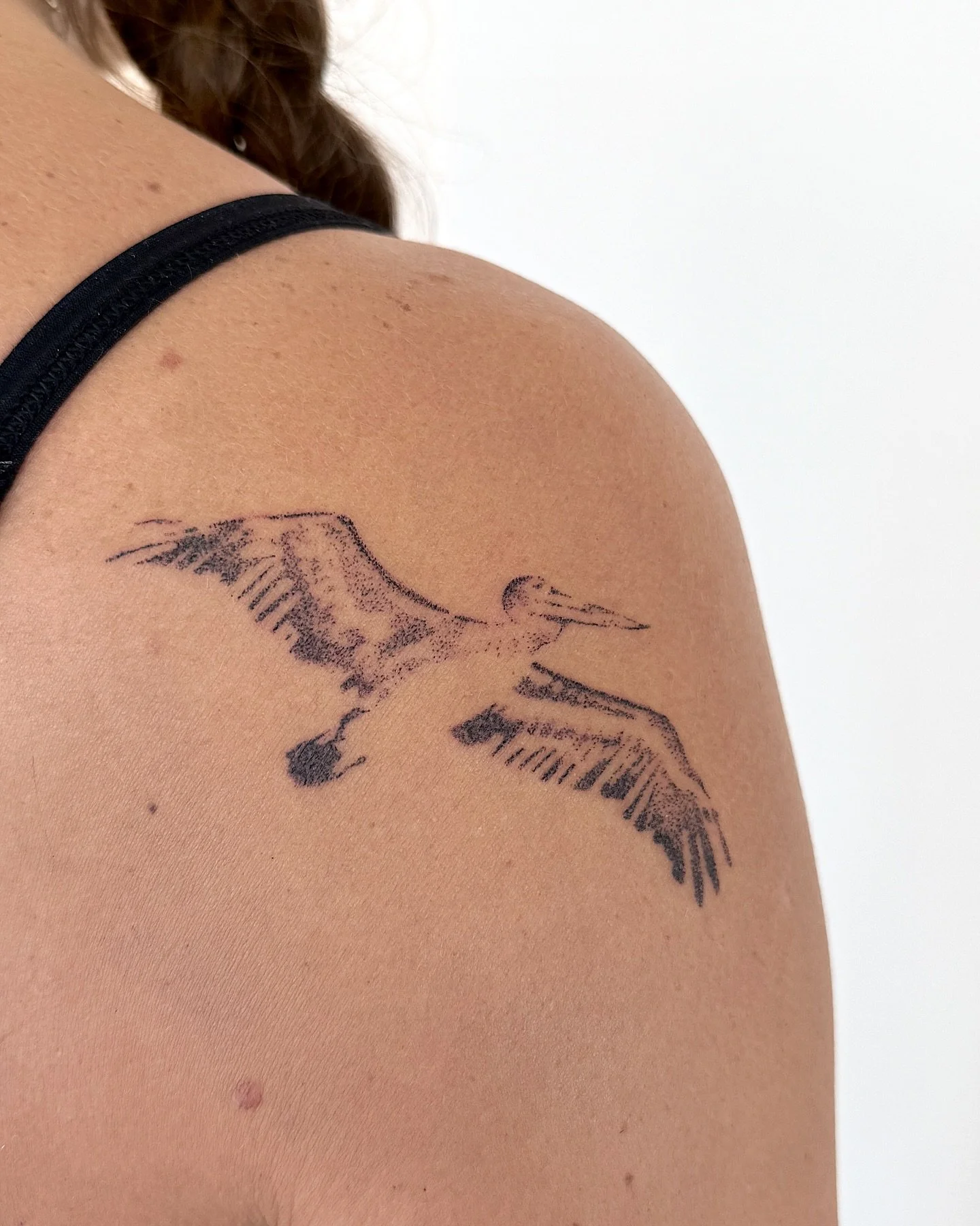 Pelican for Bel xx