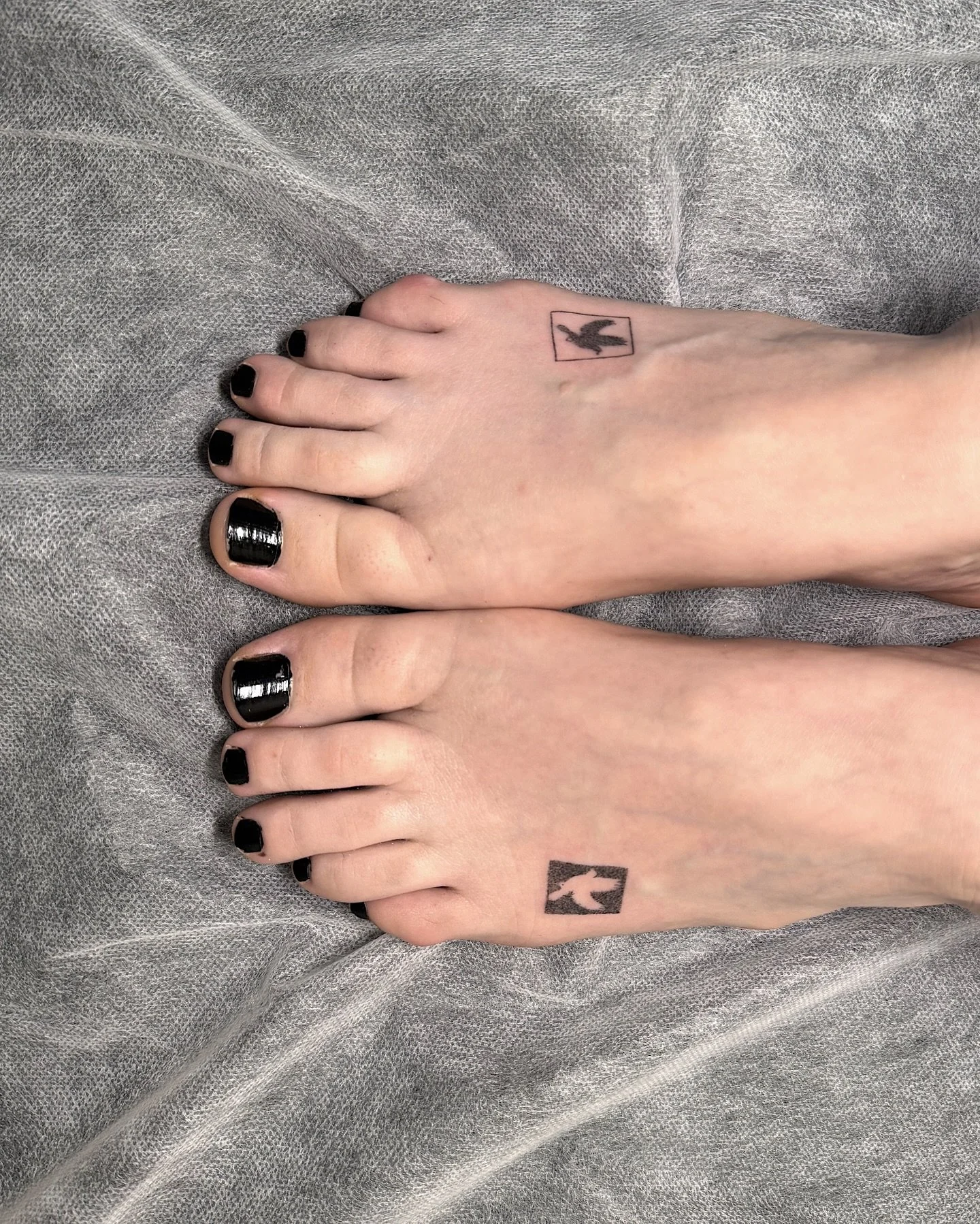 Doves from my Flash for Chrystal 🕊️🖤