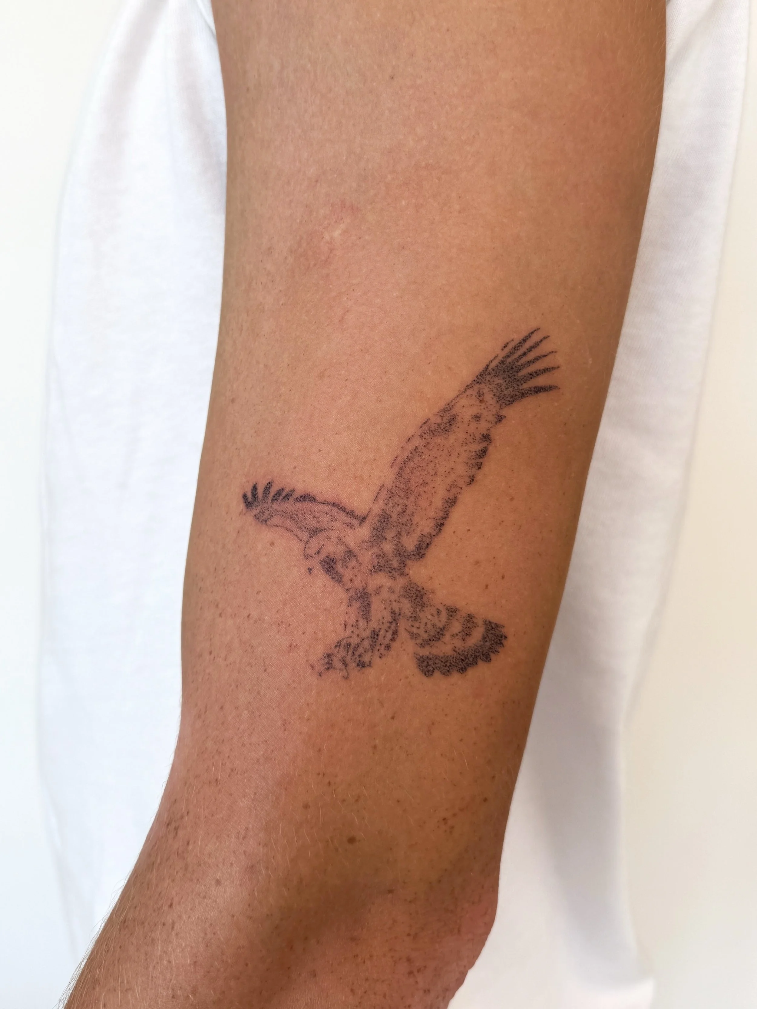 Eagle from an old flash for Jack ! 🖤