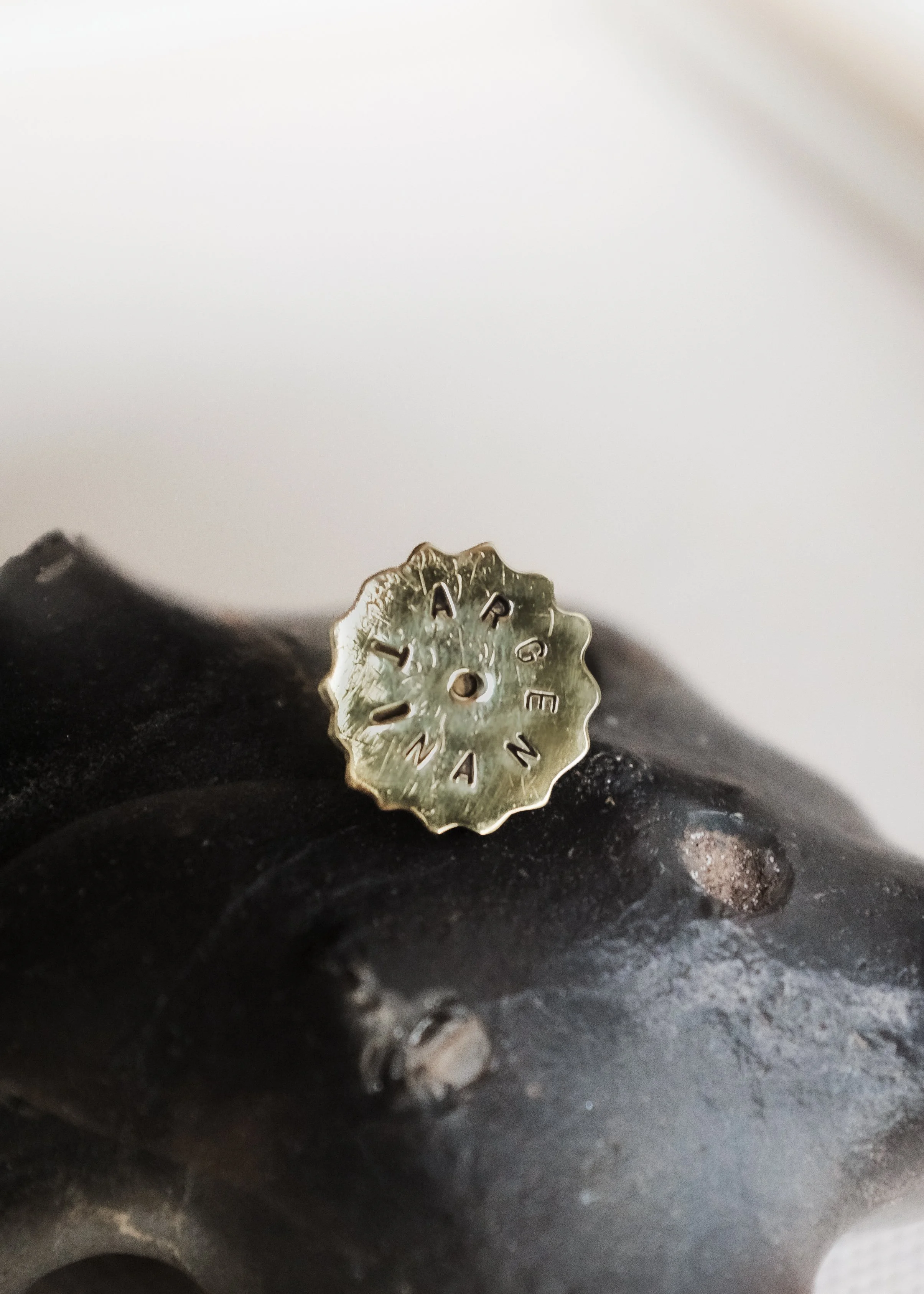 Argentinian PIN made in bronze 