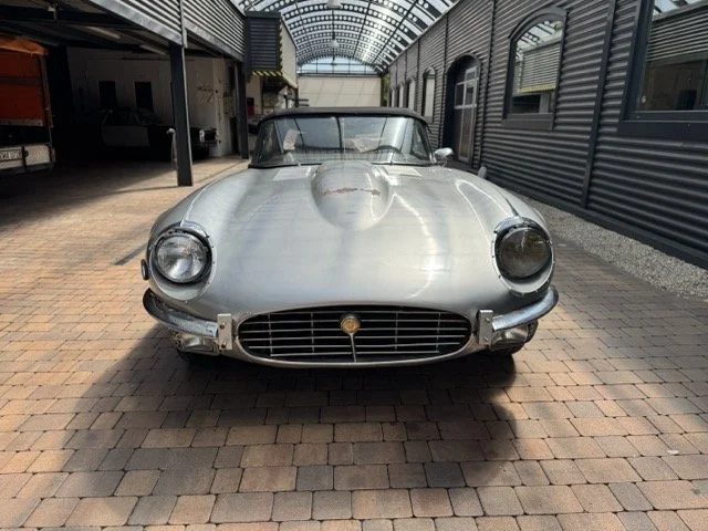 Mittel (IMG_5867).jpeg