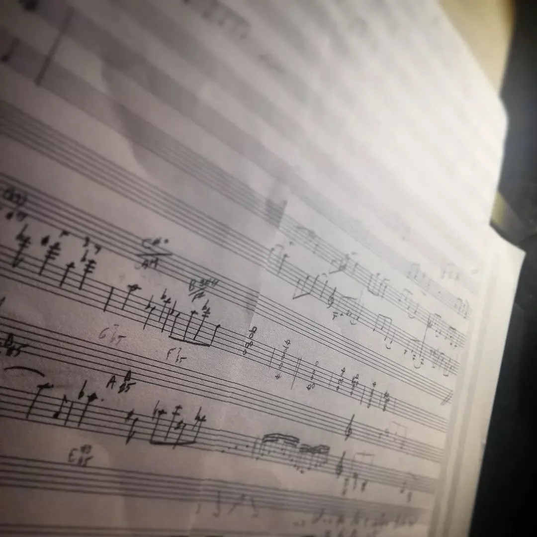 Une pi&egrave;ce en cours de r&eacute;vision ! &Ccedil;a risque d'&ecirc;tre chromatique !