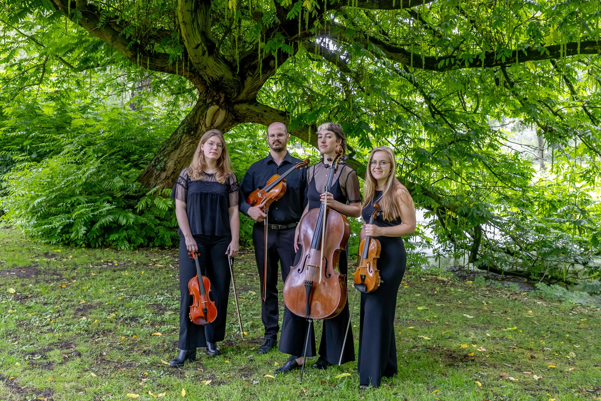 Four musicians holding string instruments standing outdoors under a large green tree.