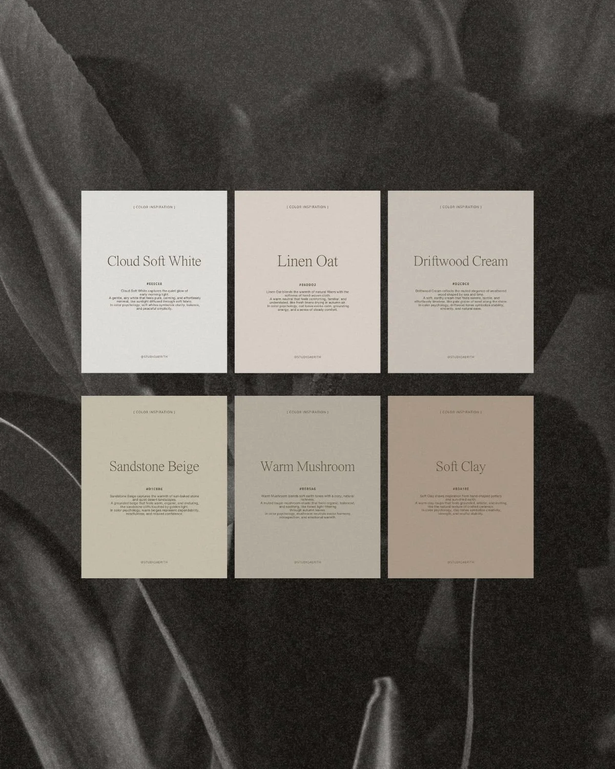 6 Warm Neutrals · Grained Backgrounds