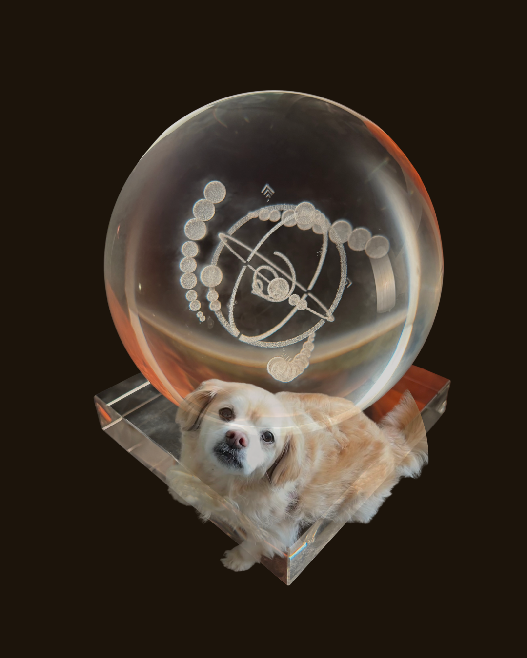 After They Cross Over: Staying Connected With Your Pet Beyond Death