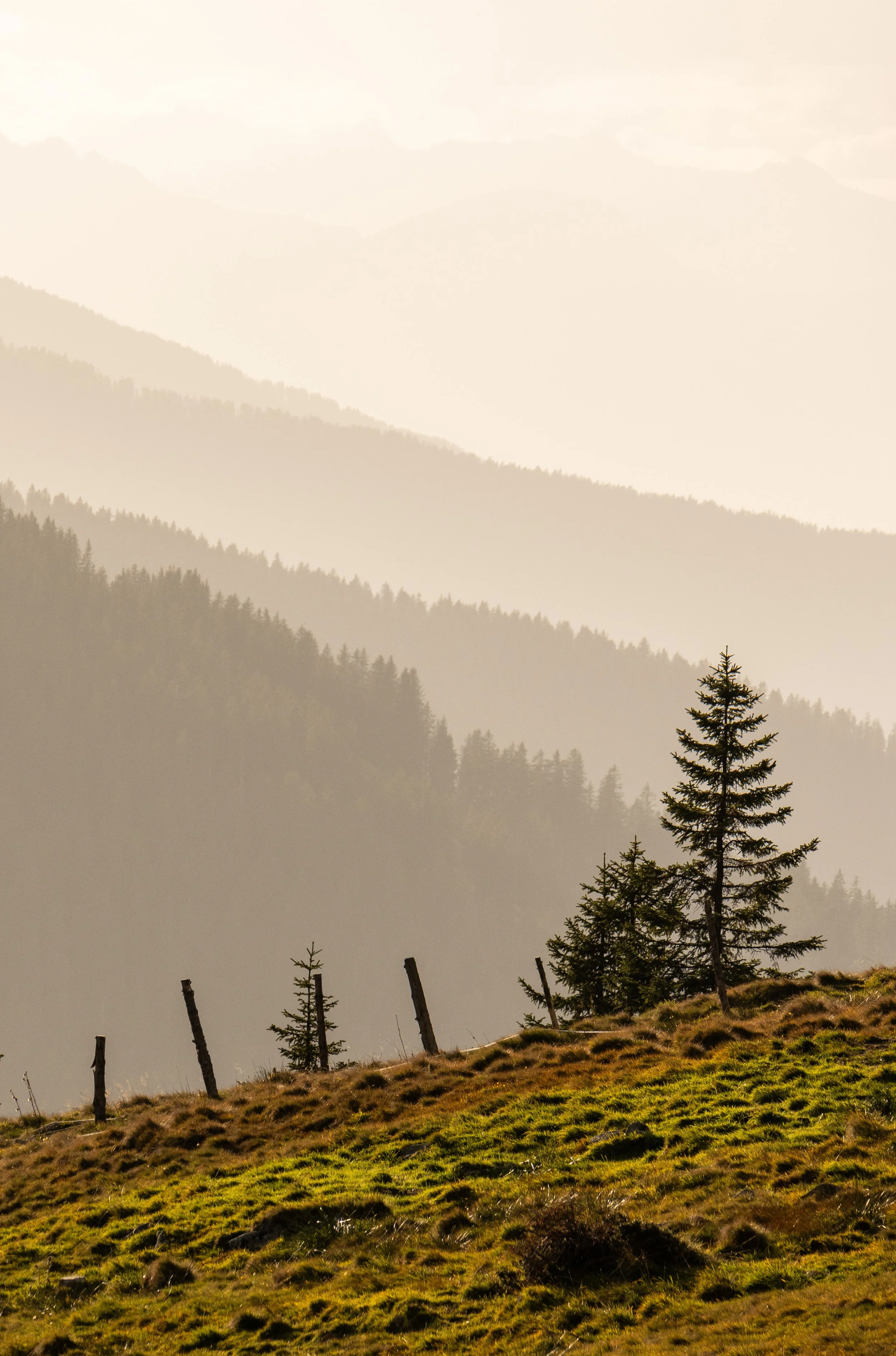 DSC_8925-2.jpg