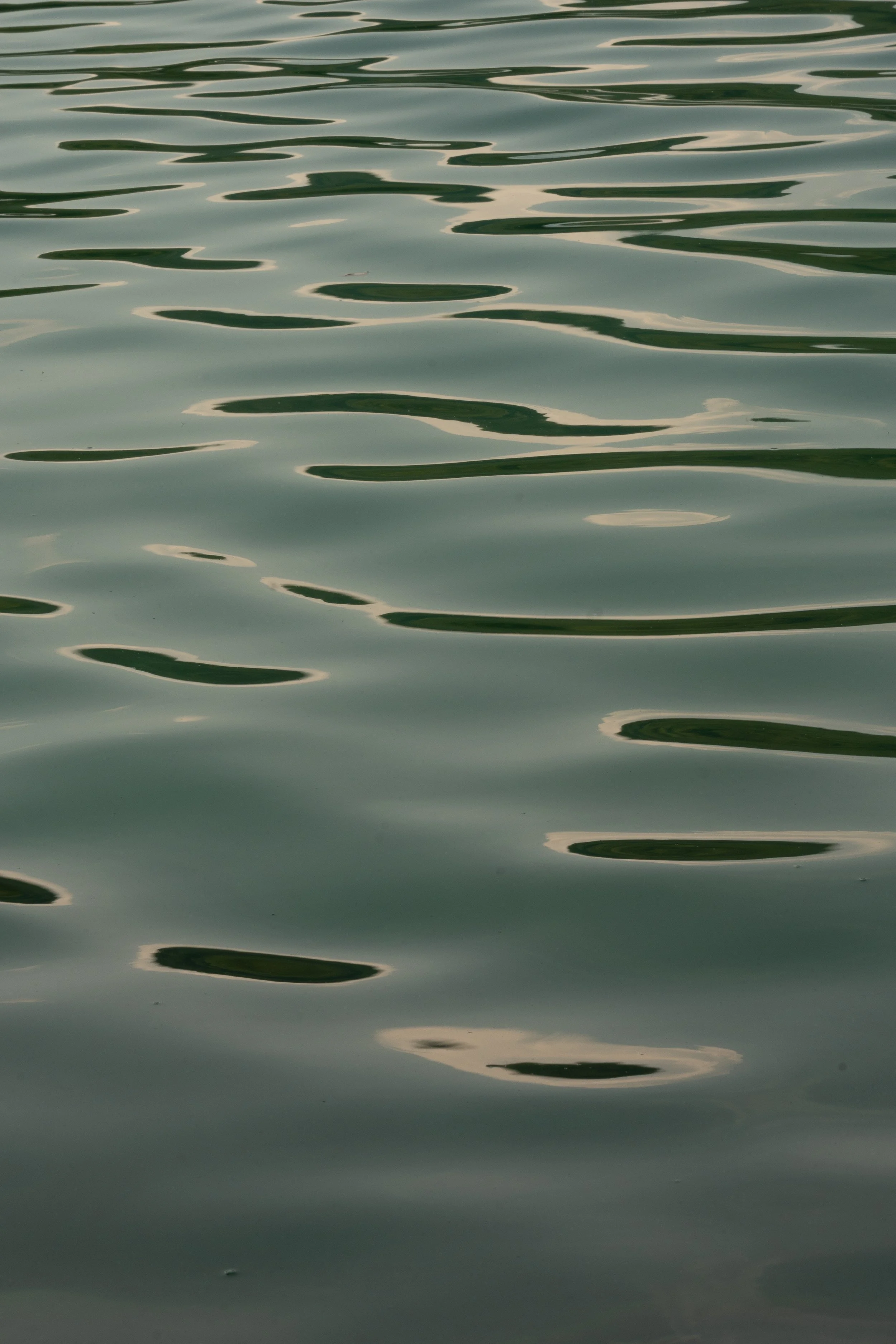 DSC_6326.jpg