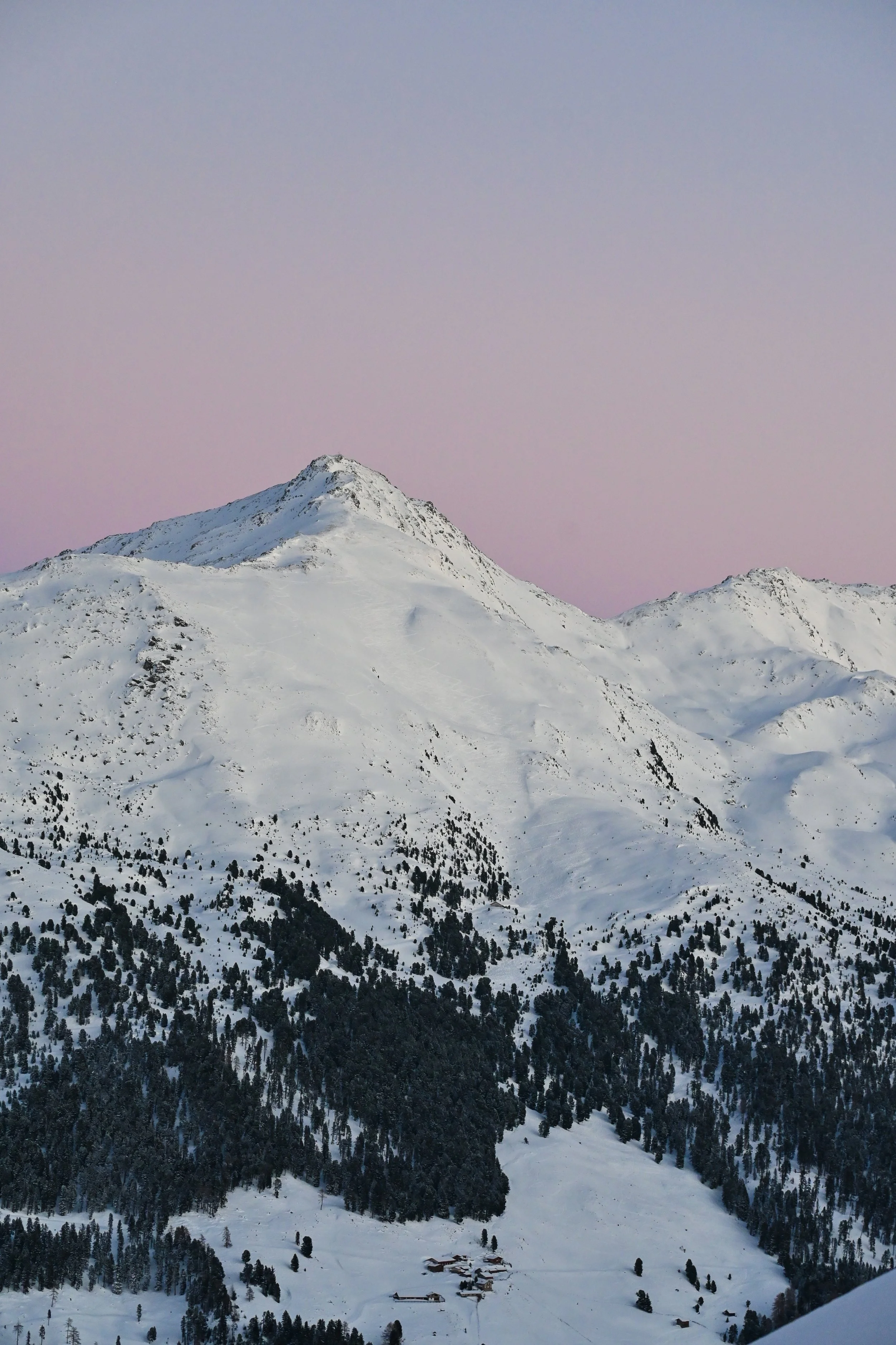 DSC_7127-2.jpg