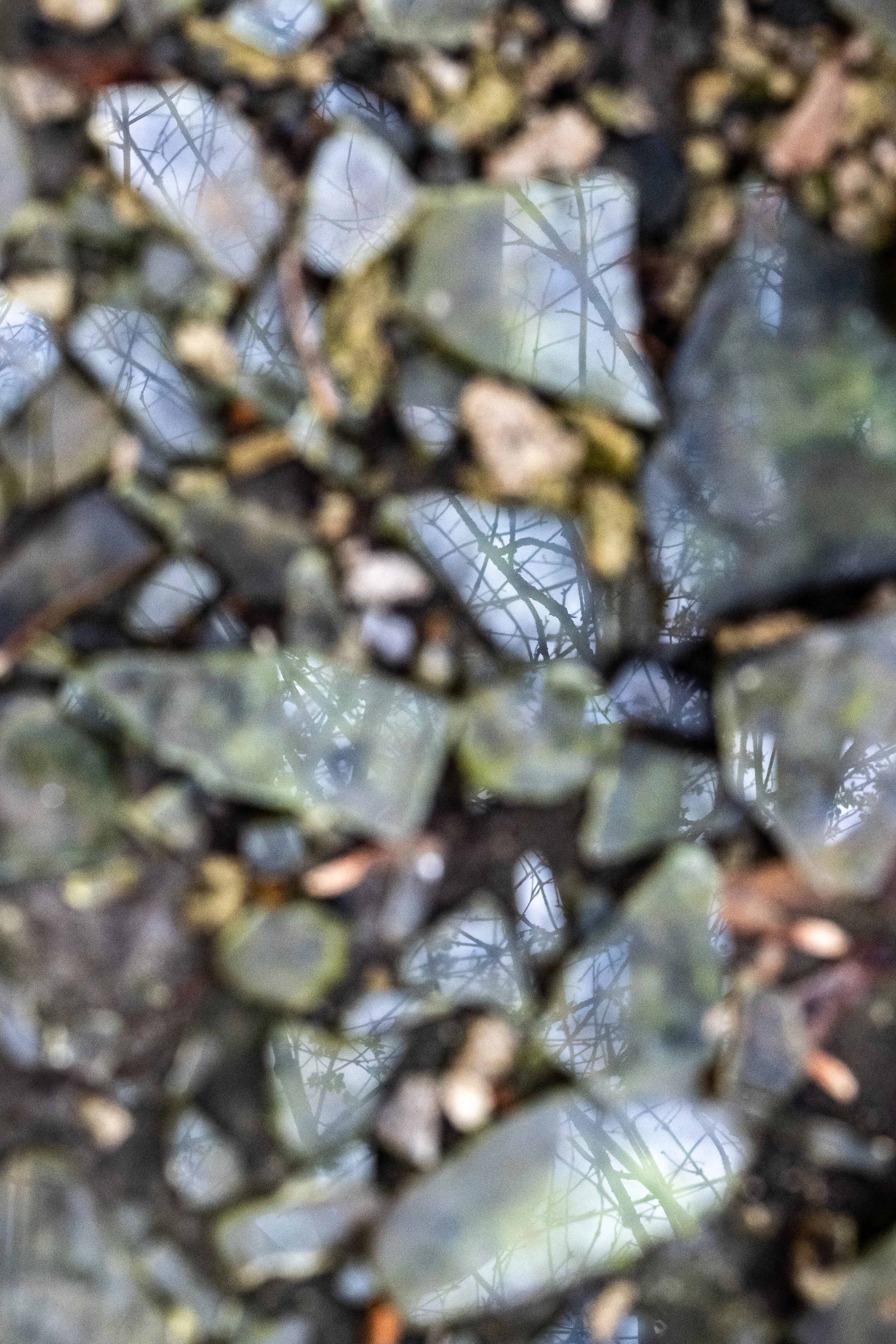 DSC_9825.jpg
