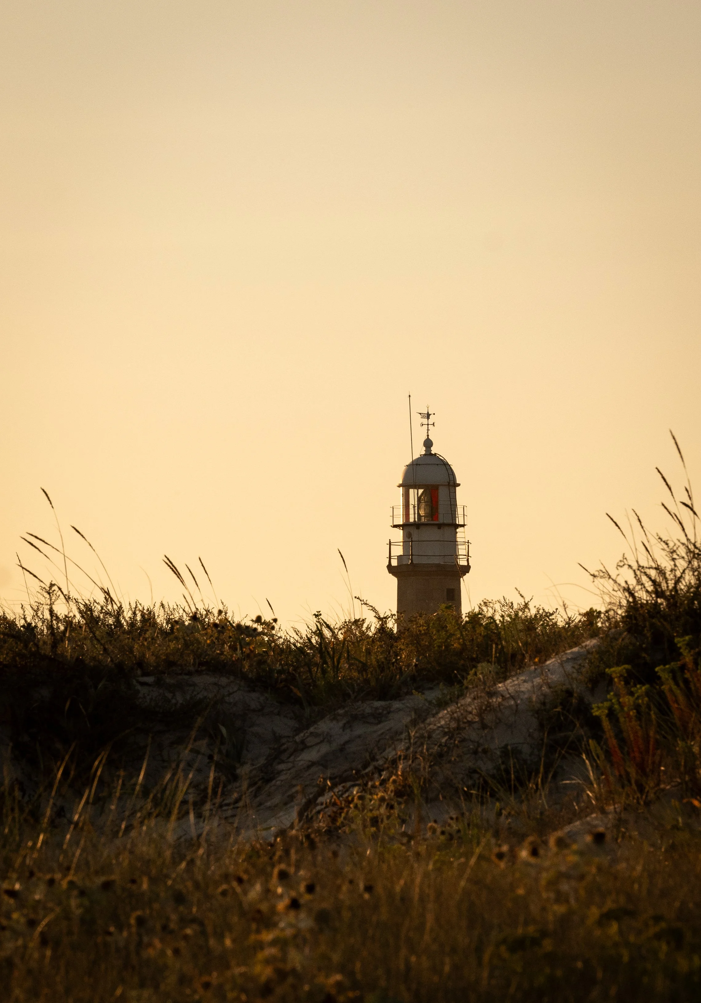 DSC_5561-2.jpg