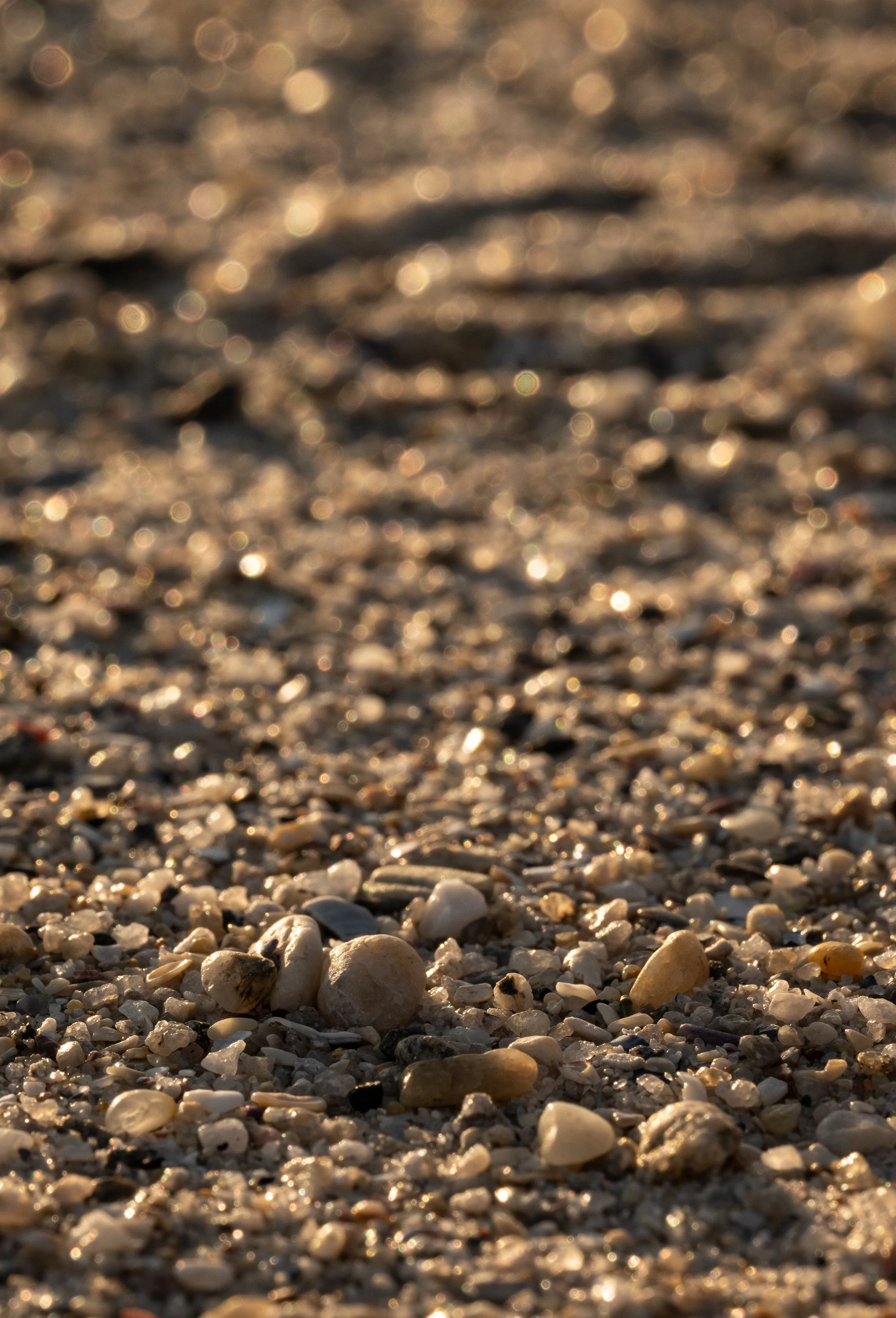 DSC_5547-2.jpg