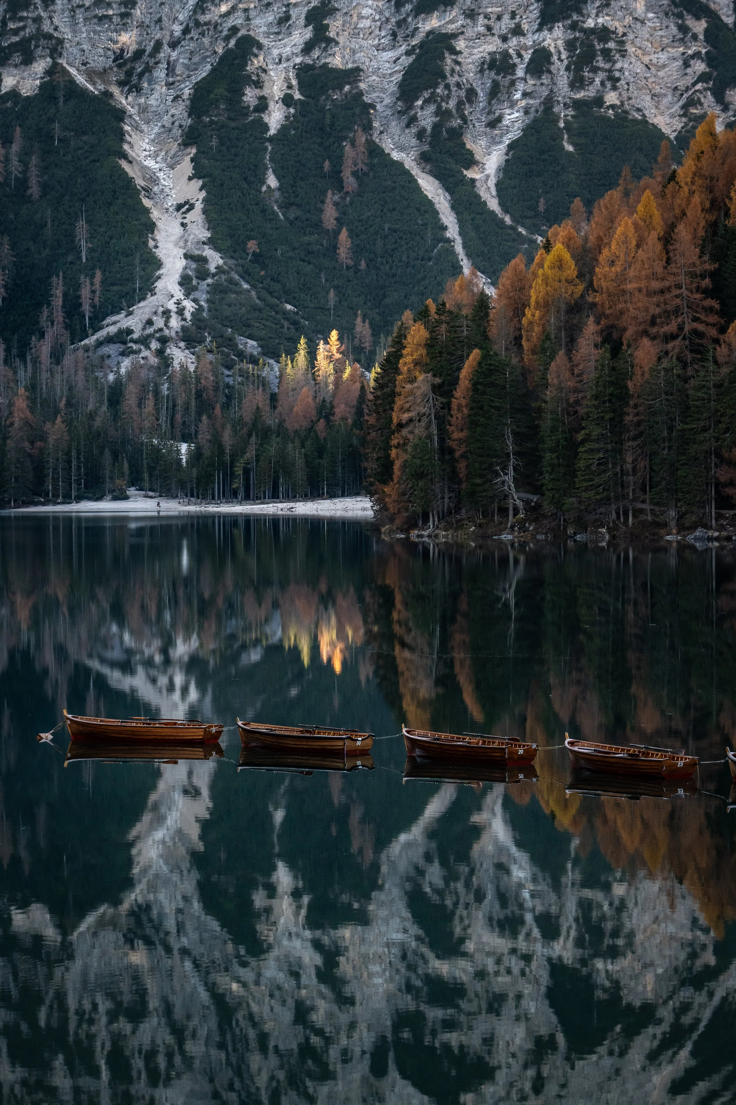 DSC_9413-2.jpg