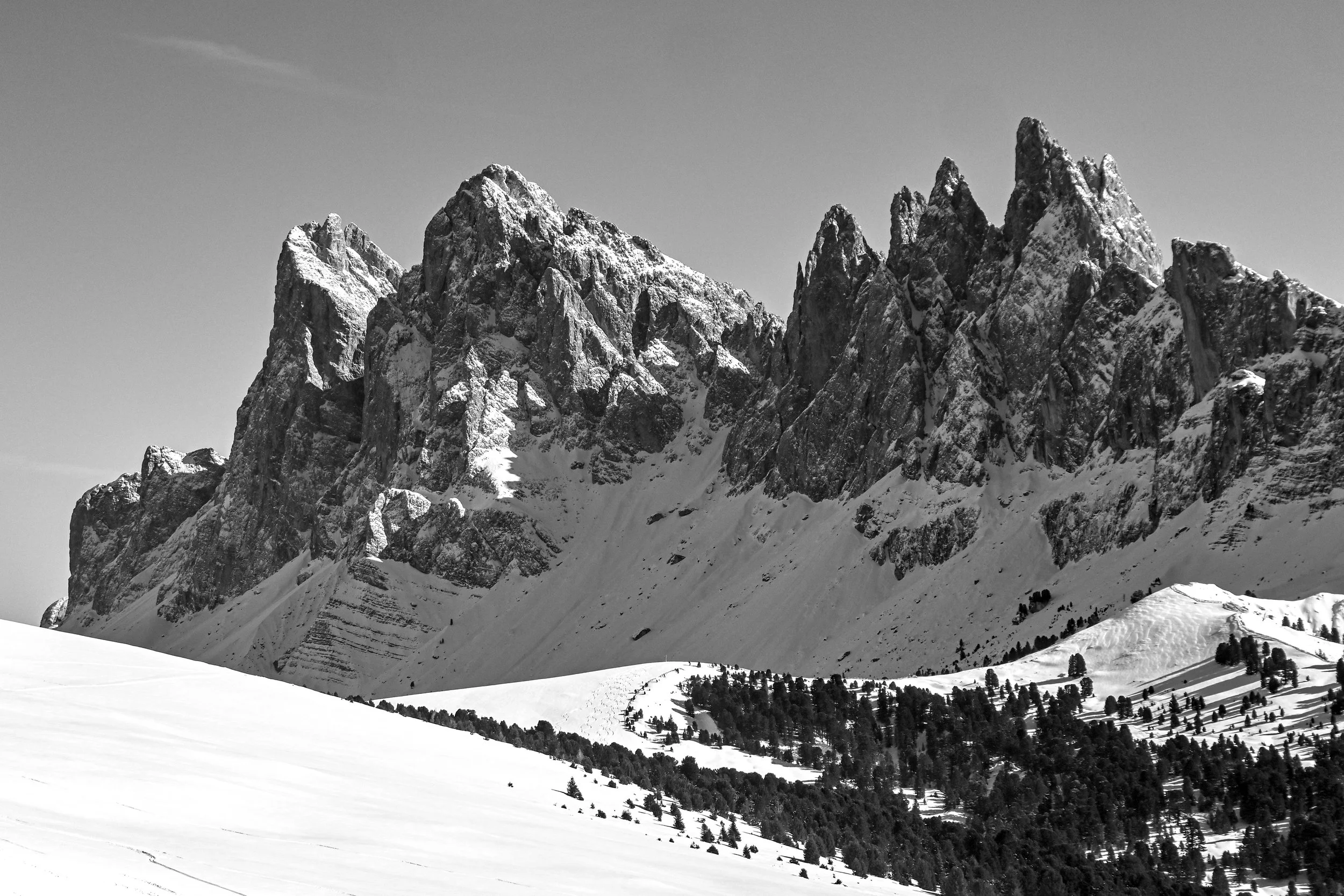 DSC_5501.jpg