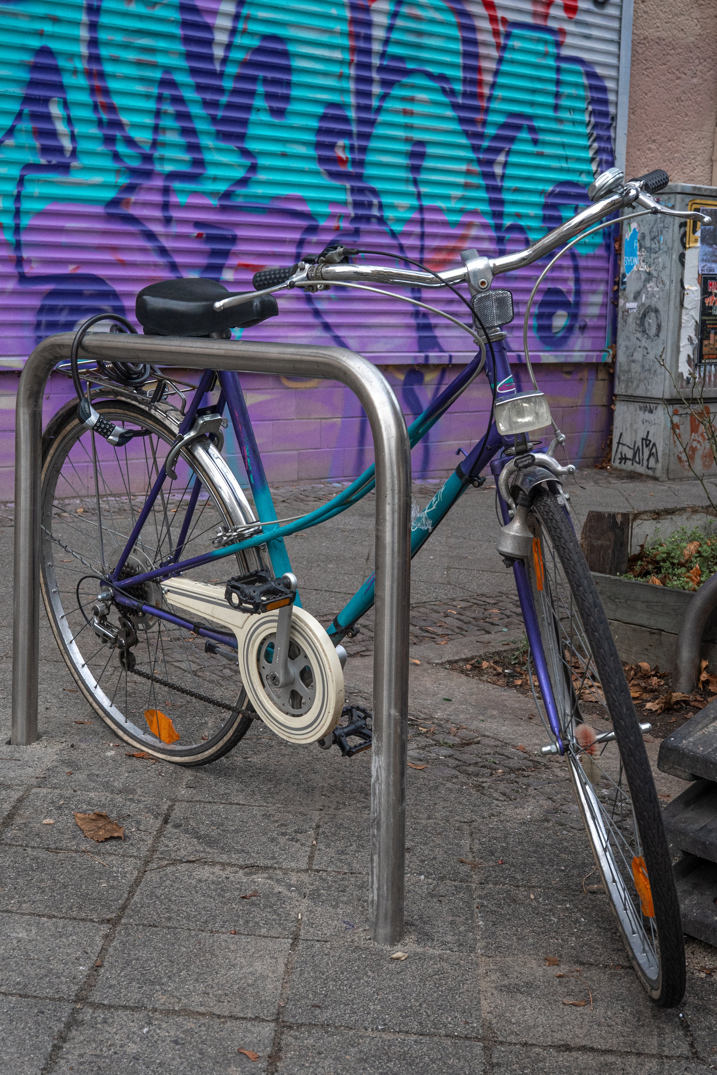 DSC_8597-2.jpg