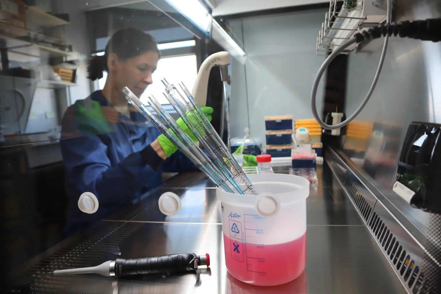 The Rayner lab Publications | Malaria Research at CIMR — The Rayner lab
