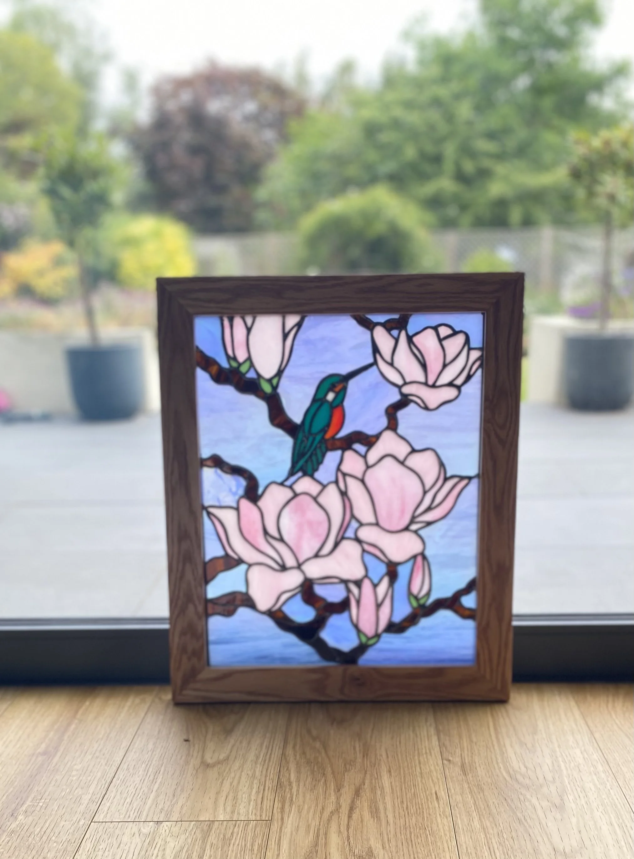 KIngfisher in magnolia tree