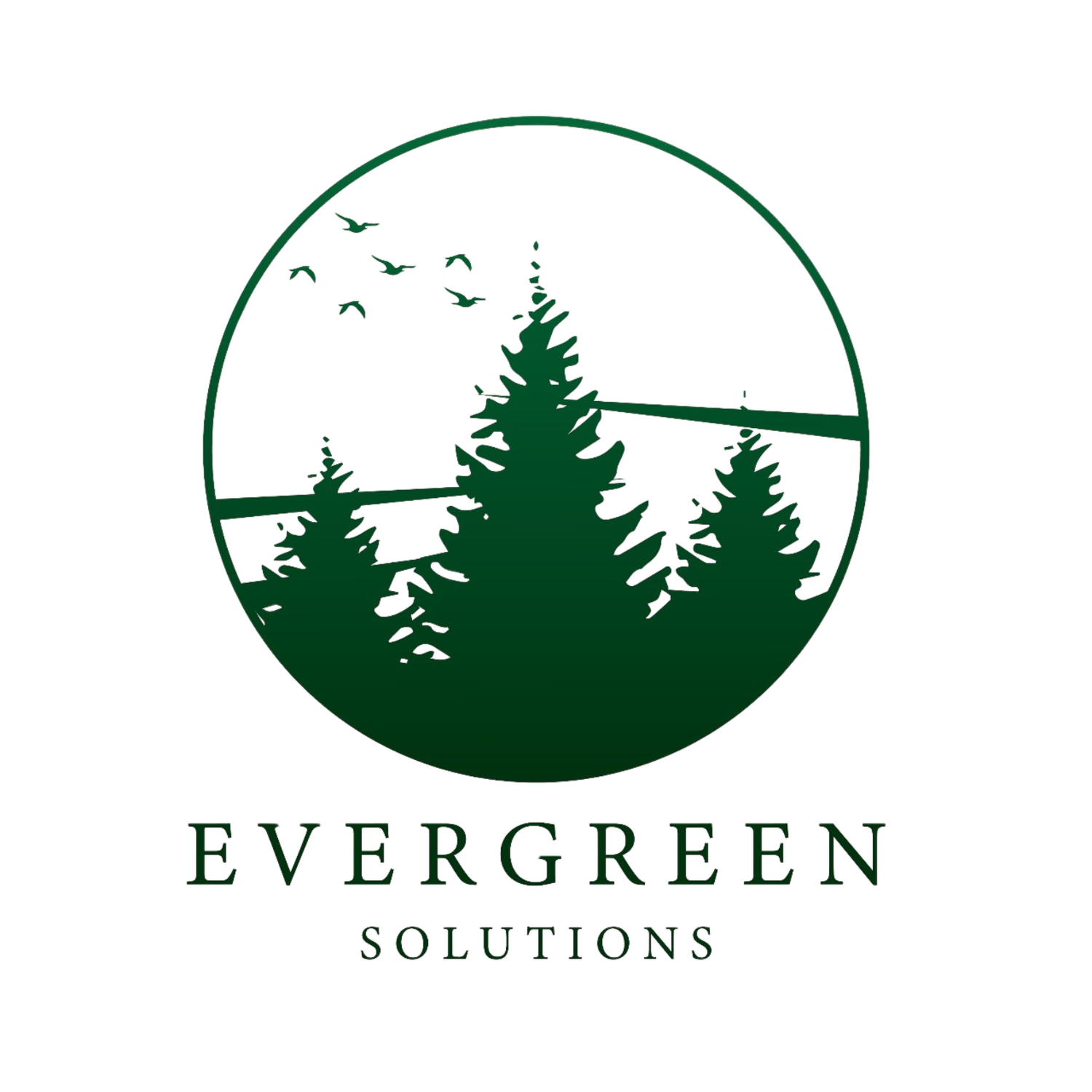Evergreen Solutions LLC