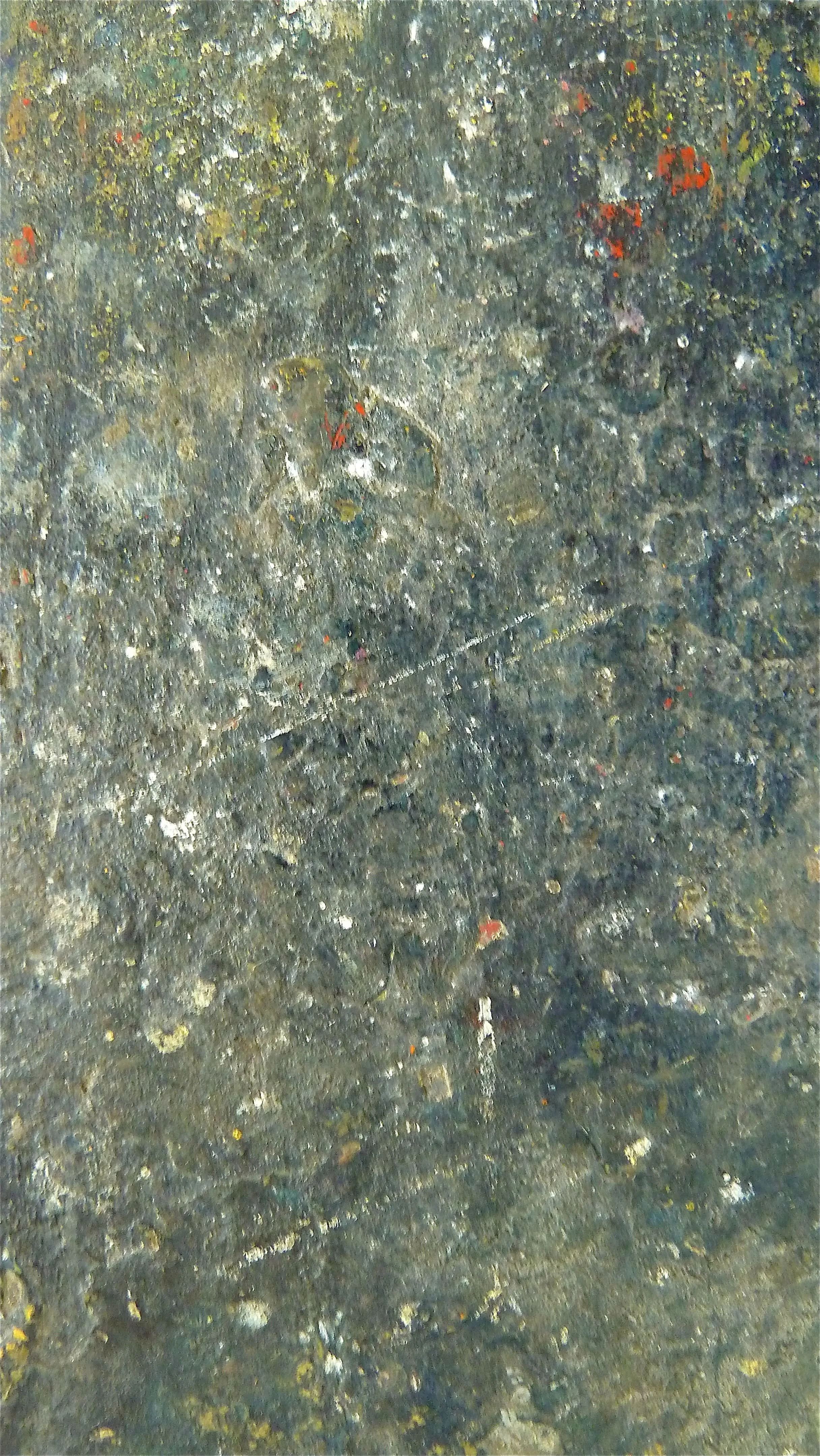 Bodenbild 07