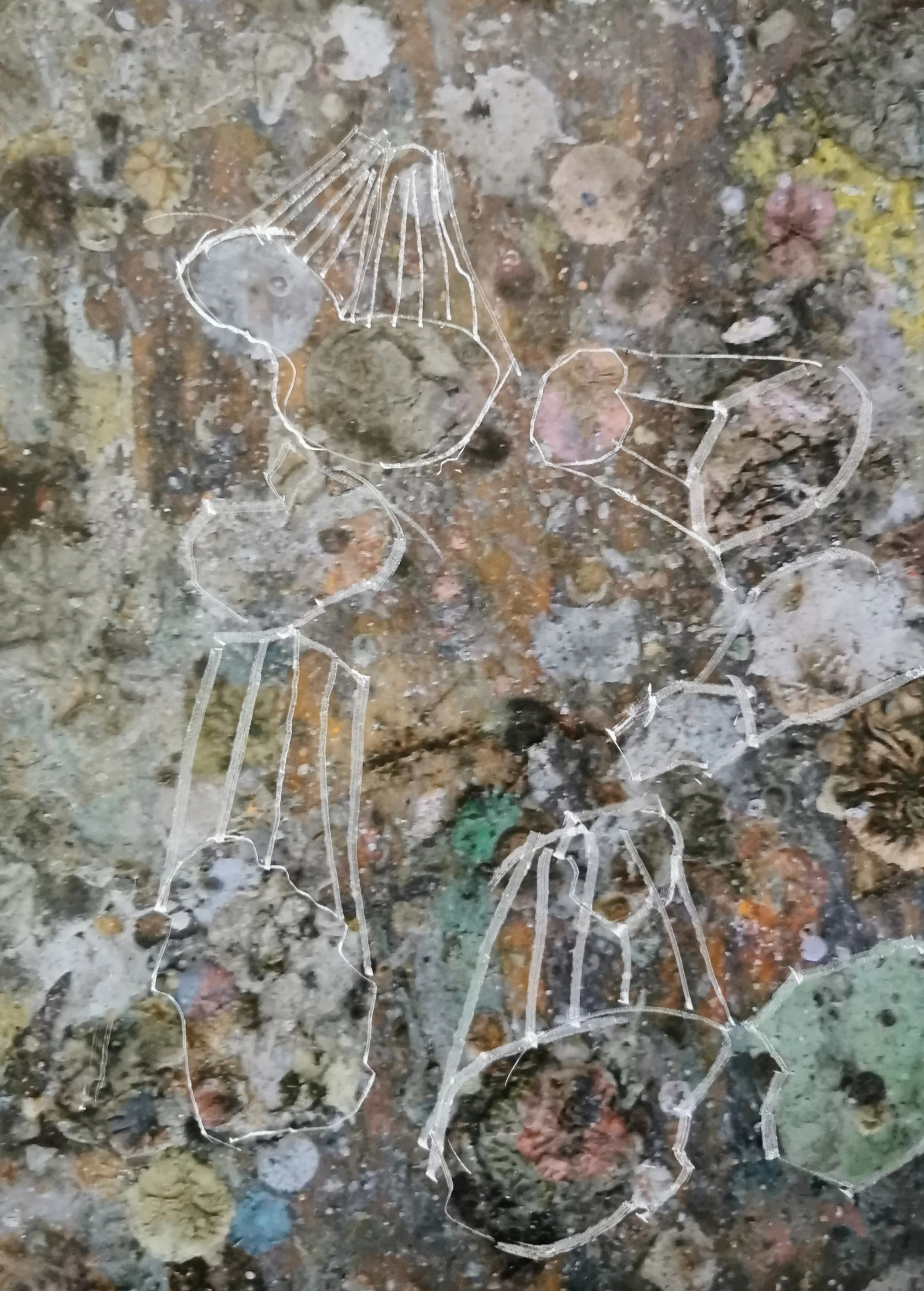Wachs Aquarell 07