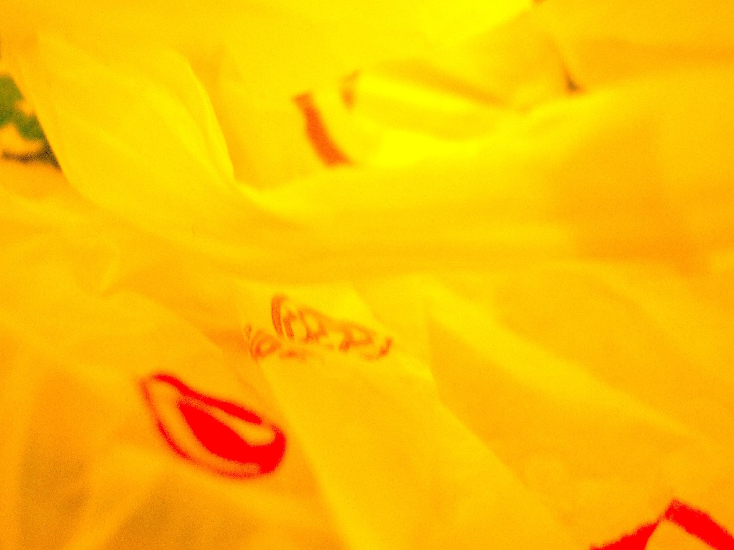 Spanien 06