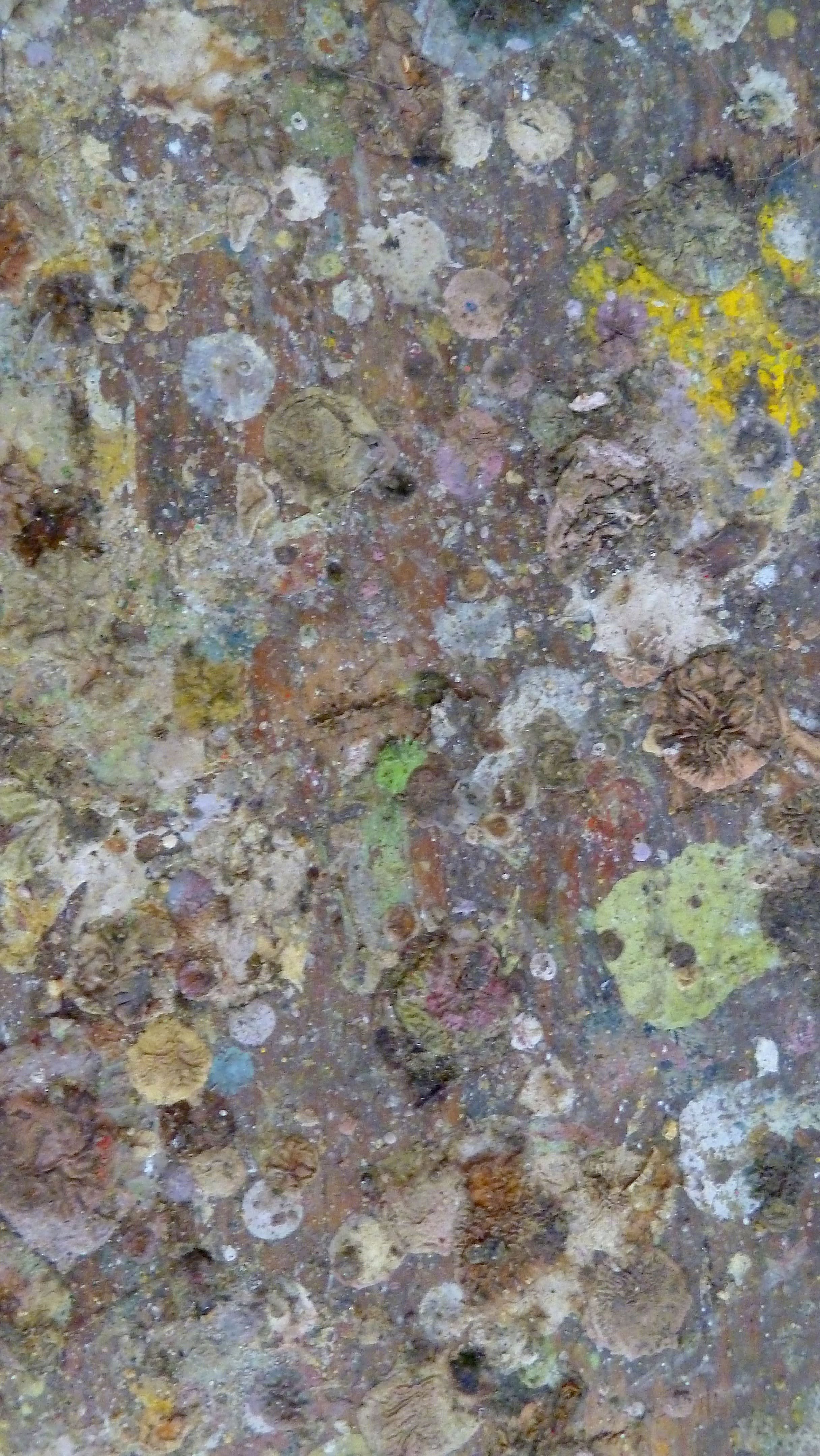 Bodenbild 01