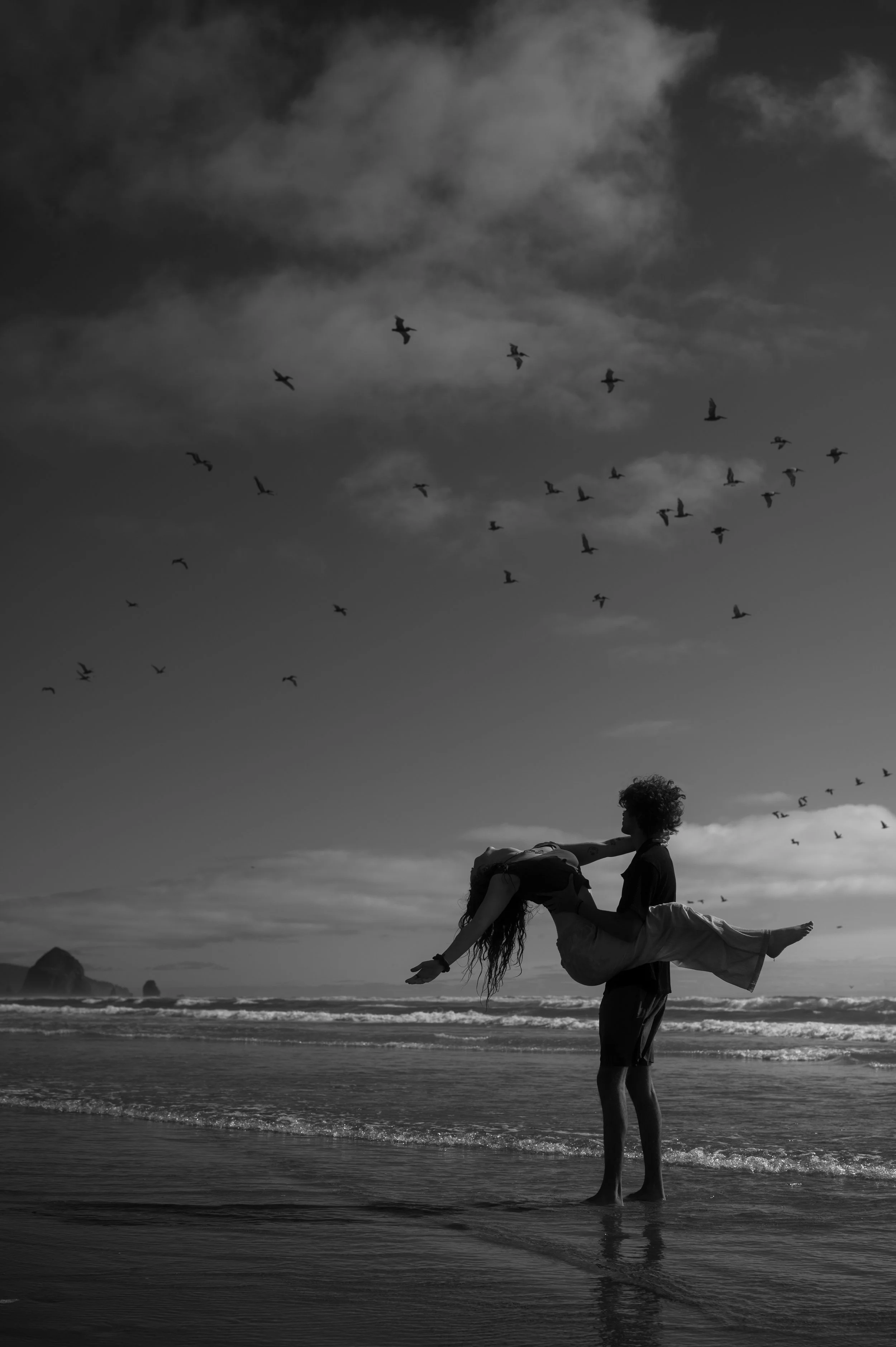 A person standing in the water holding a woman horizontally in a beach setting, with birds flying in the sky and clouds.