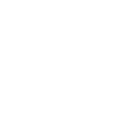 Icone d'une fleur stylisée blanche sur fond noir.