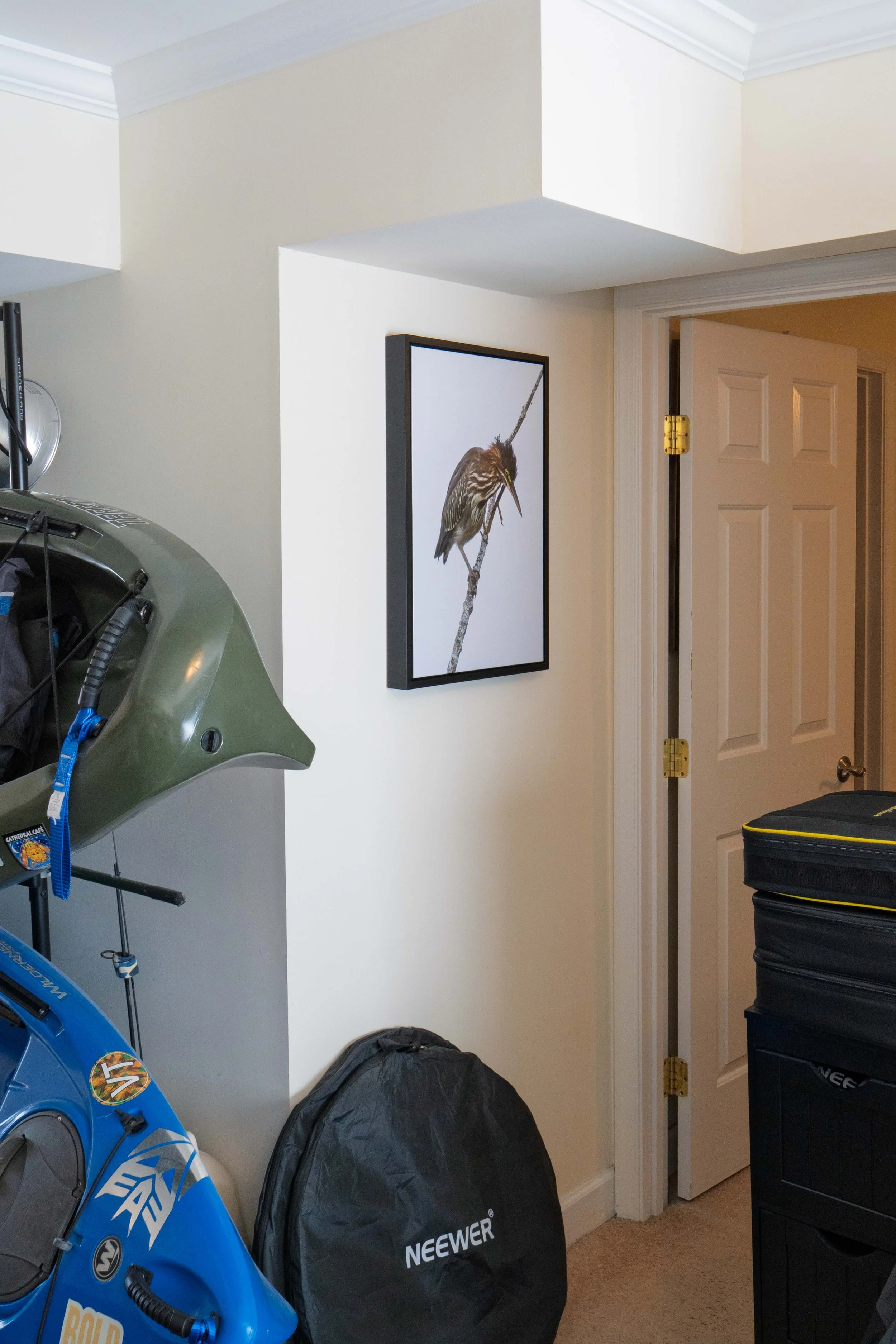 Hanging on the wall is a canvas photo print of a green heron scratching its head while perched on a branch with a white background.